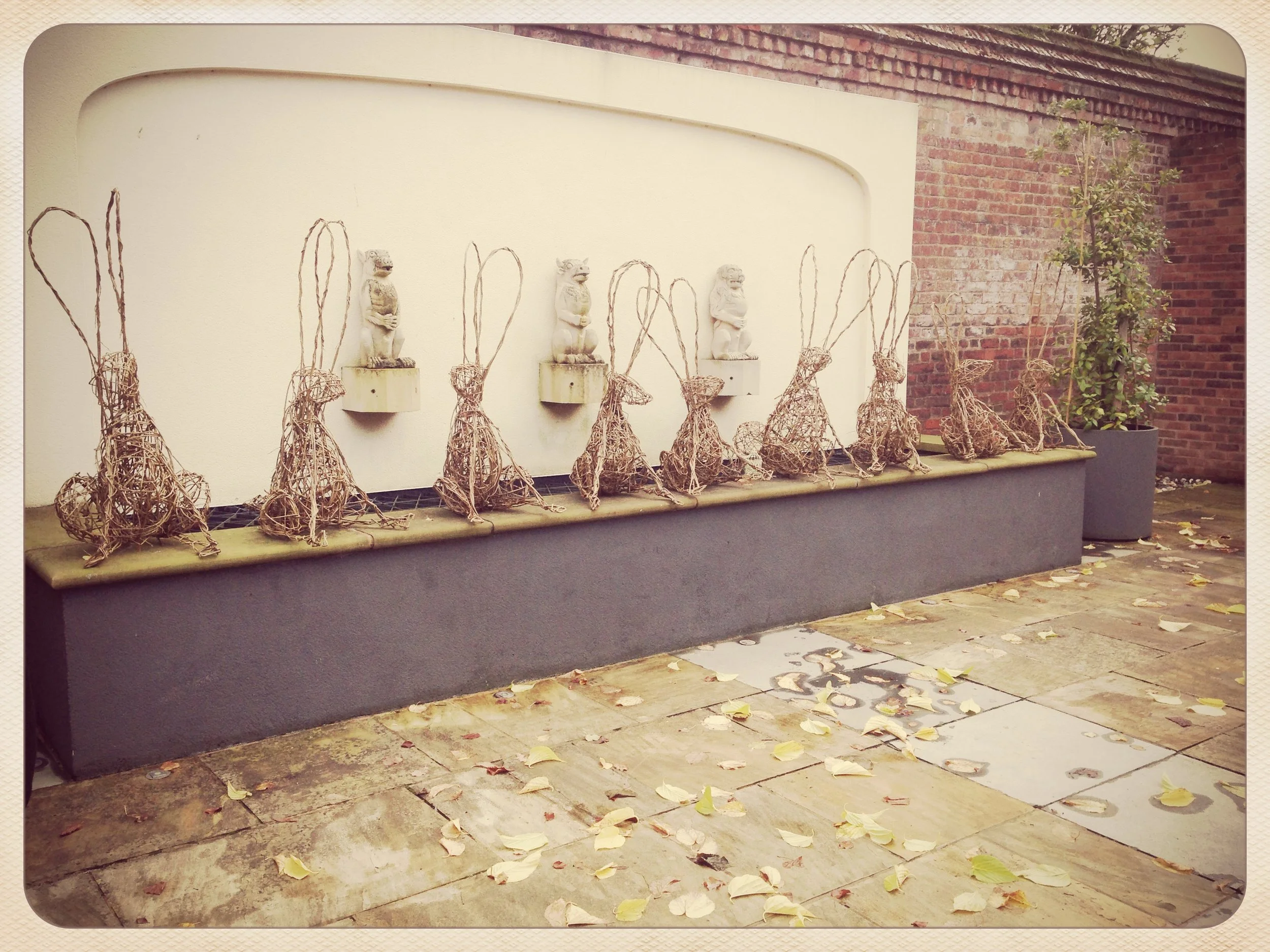 Sitting hares at Lower Withington village hall - £75 - FULL