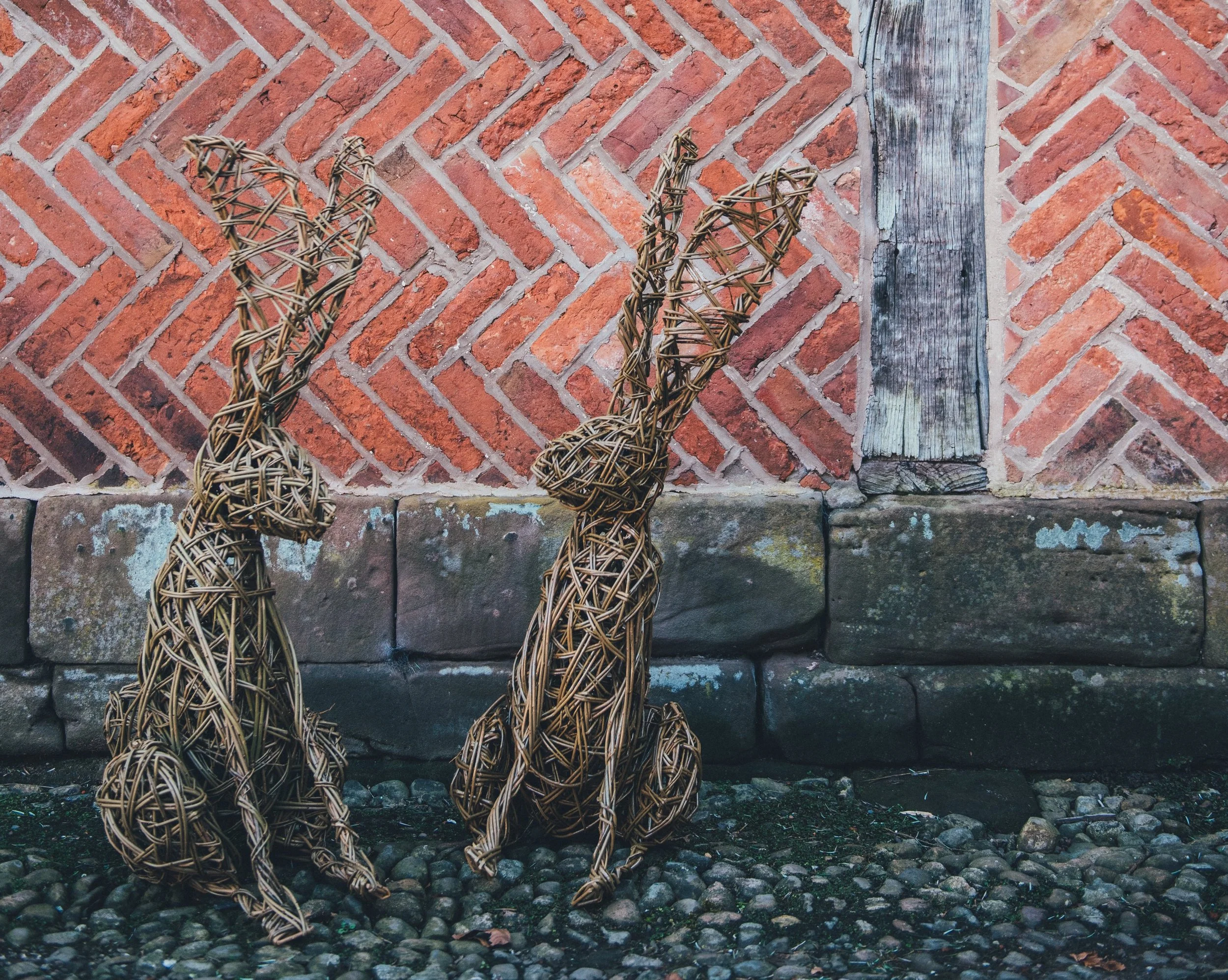 Sitting Hares at the Guild for Lifelong Learning - £60