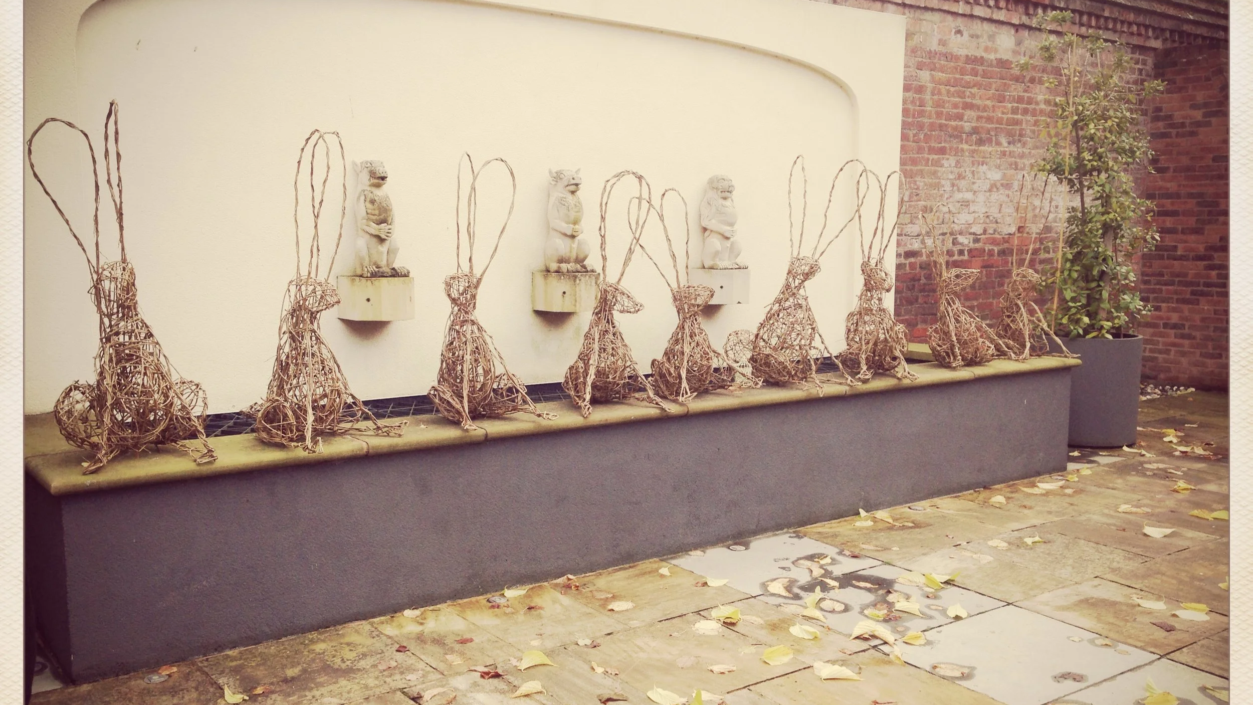 Sitting hares at Clay studios for Goosfest - £45