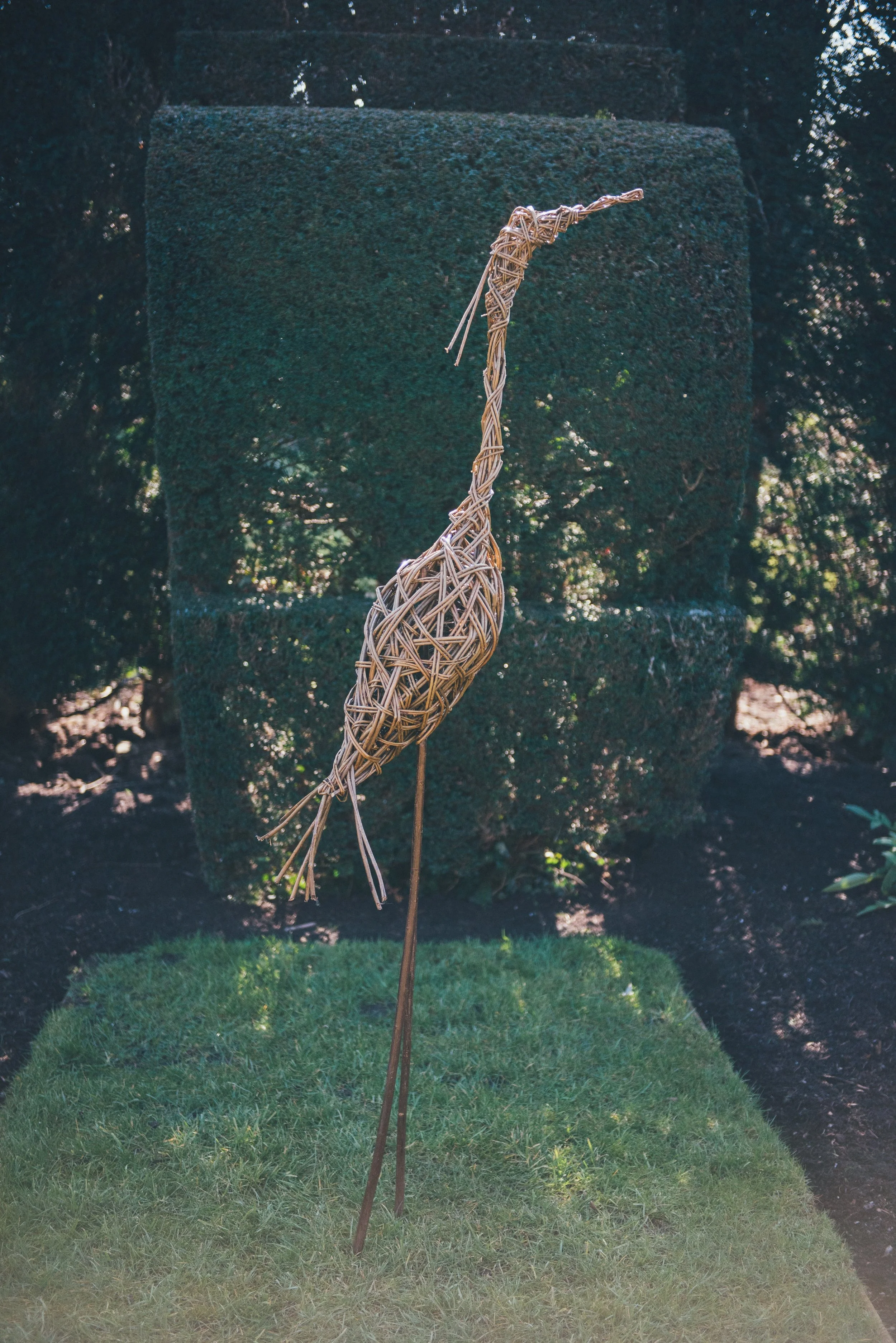 Herons at Lower Withington Village Hall - £75