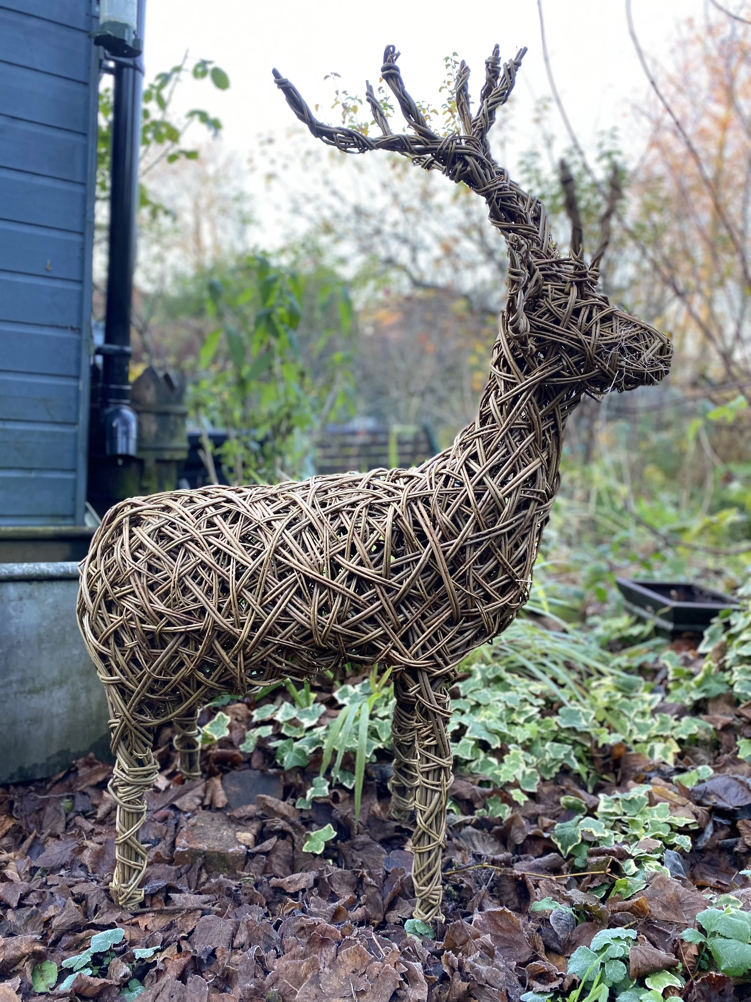 Stags at Ditzy Rose Makery - £75