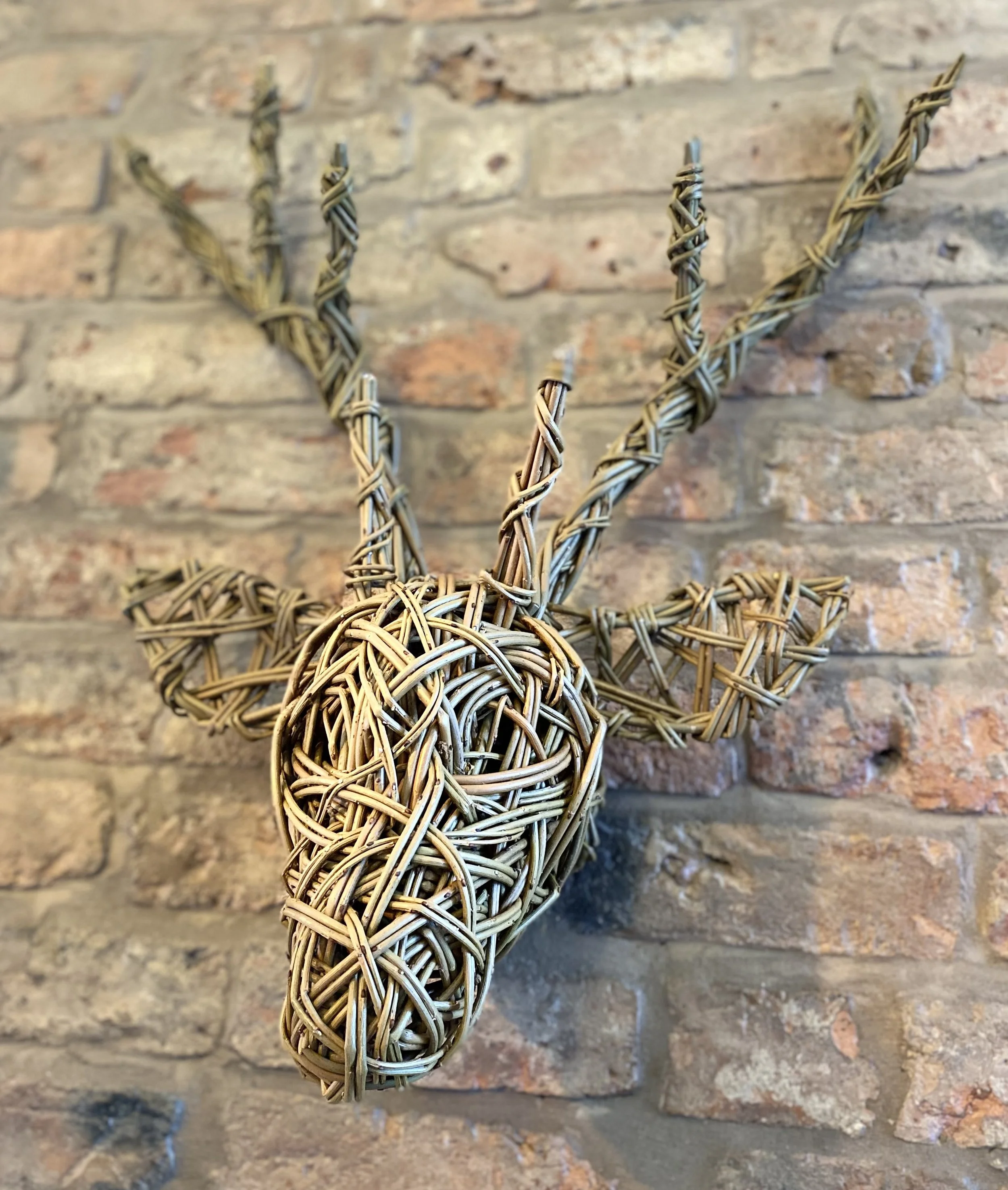 Stags heads at Arley Hall - £75