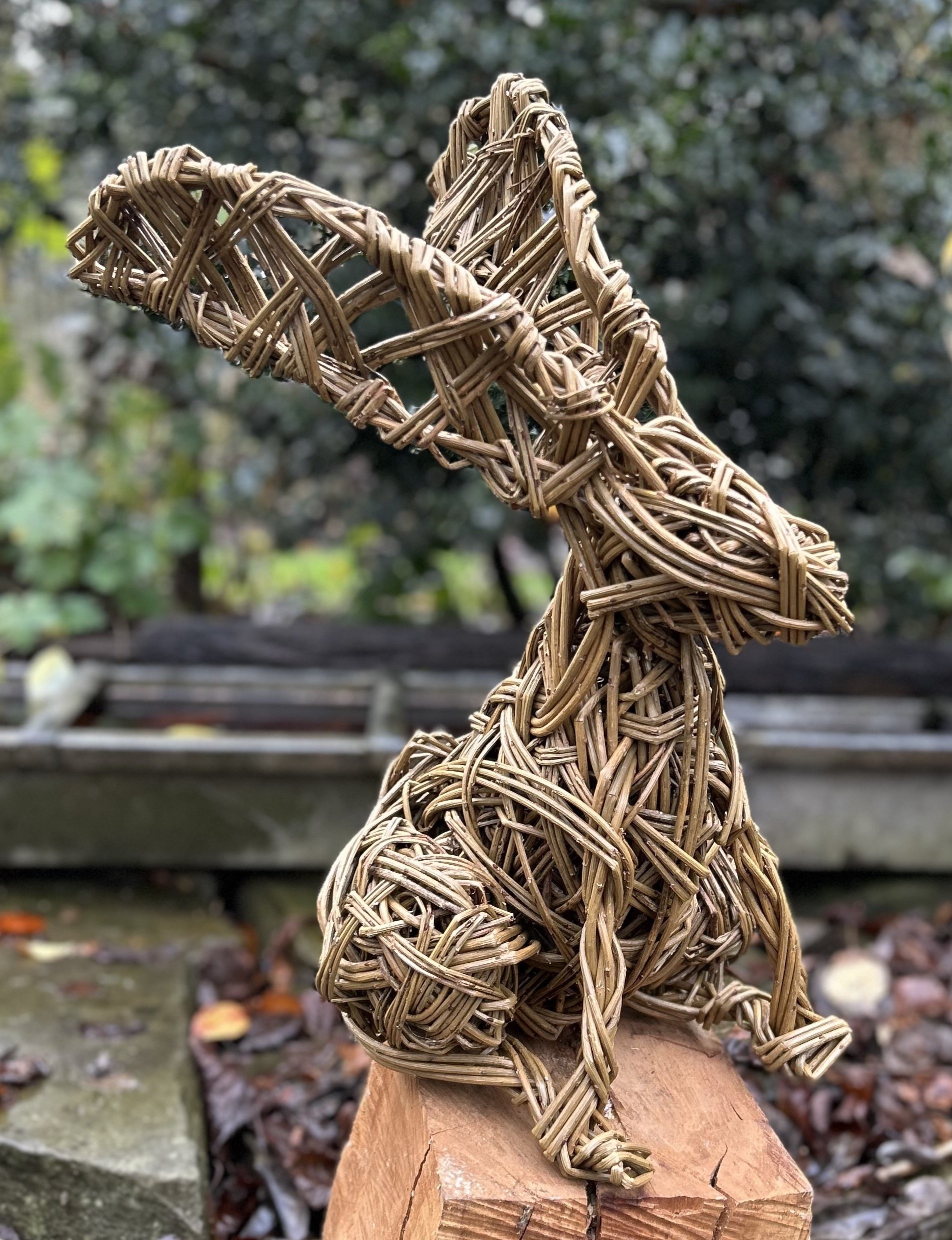 Small sitting hare