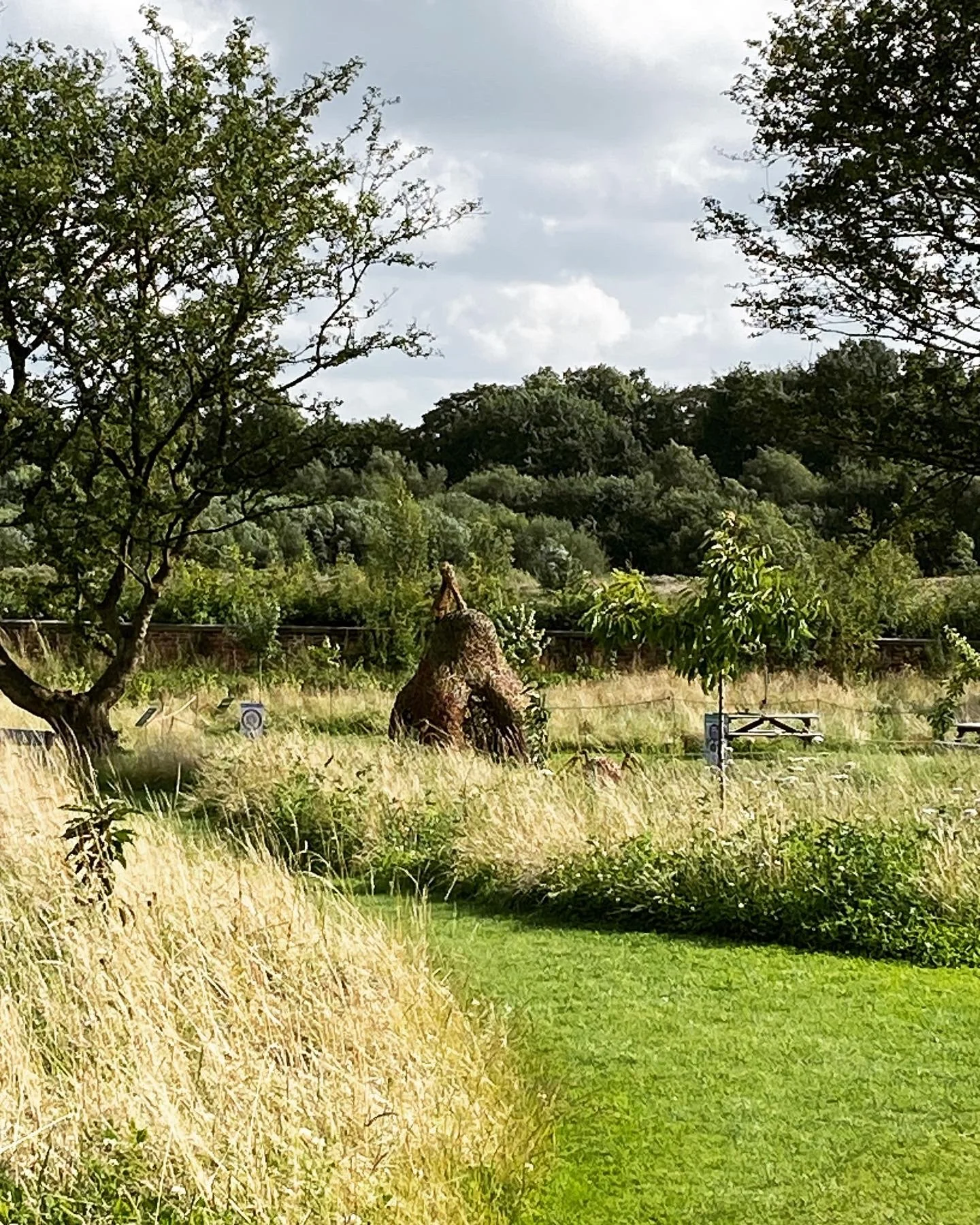 Pear in landscape .JPG