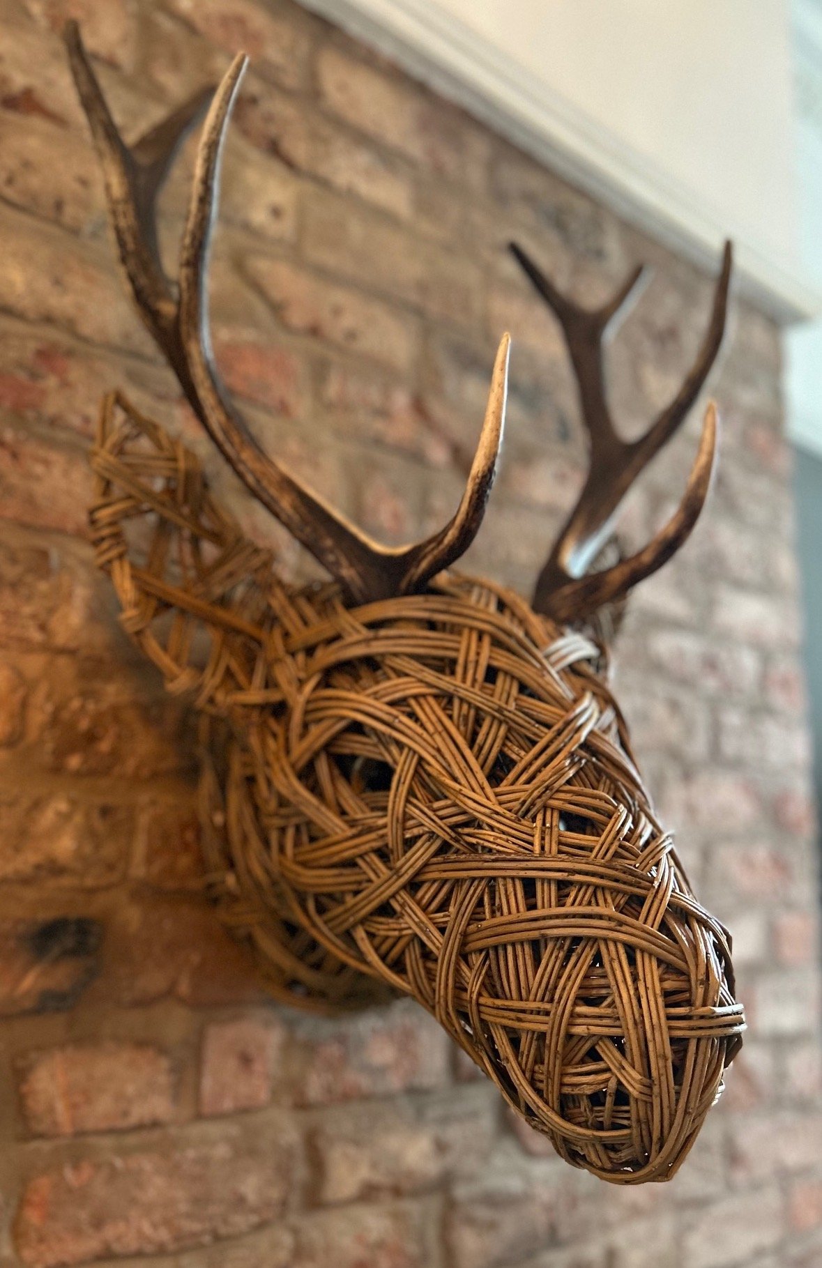 Stag's head real antlers large 2.jpeg