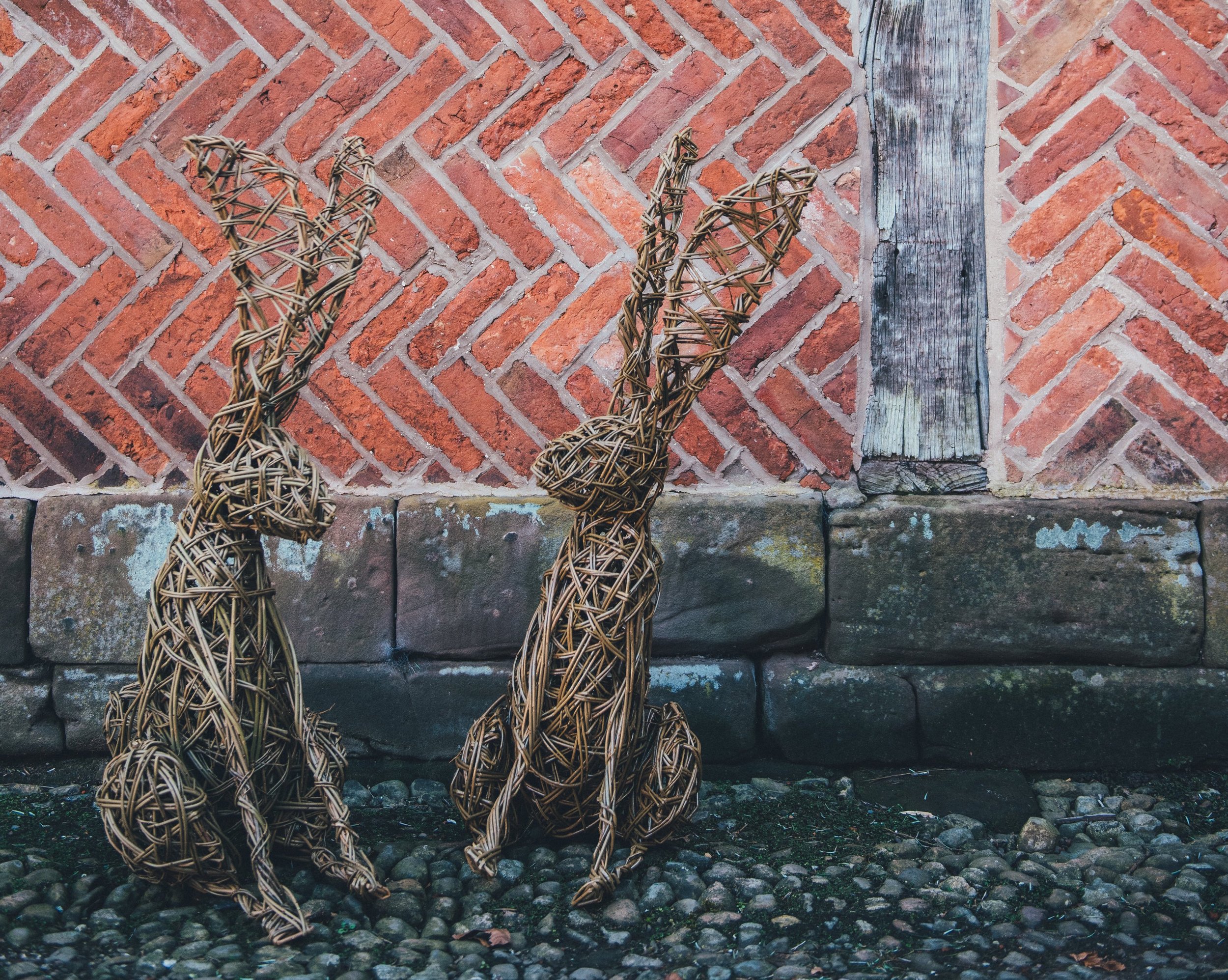 Hares with brick background landscape.jpg