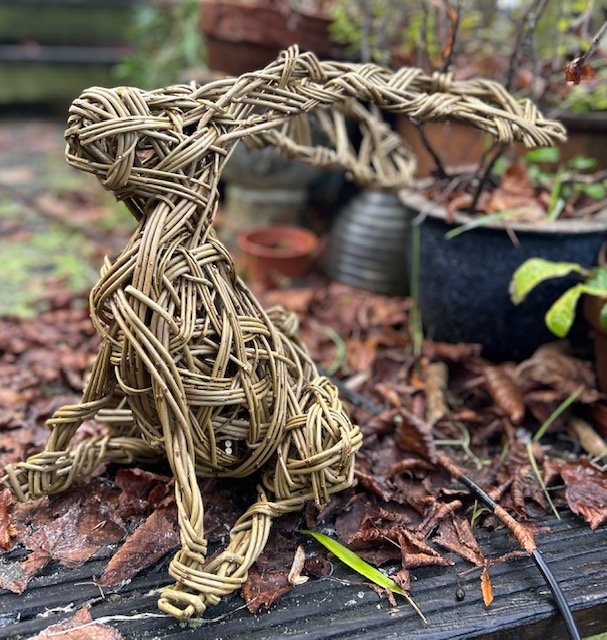 small moon gazing hare 2.jpg