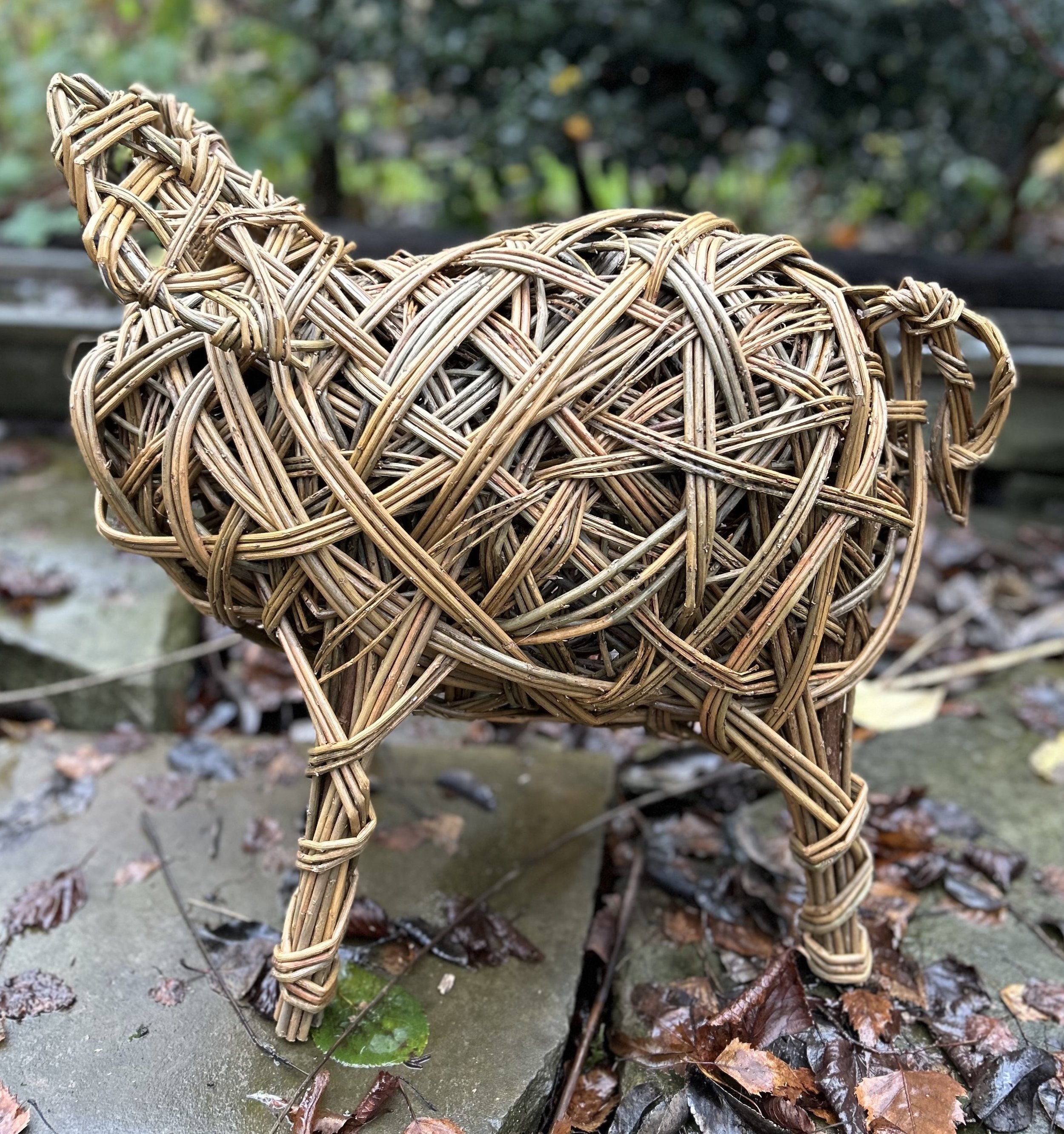 Pig