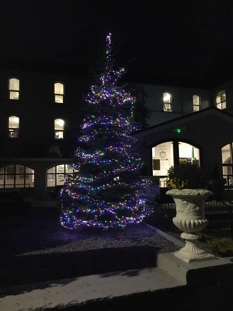 Our Crib &amp; Christmas Tree