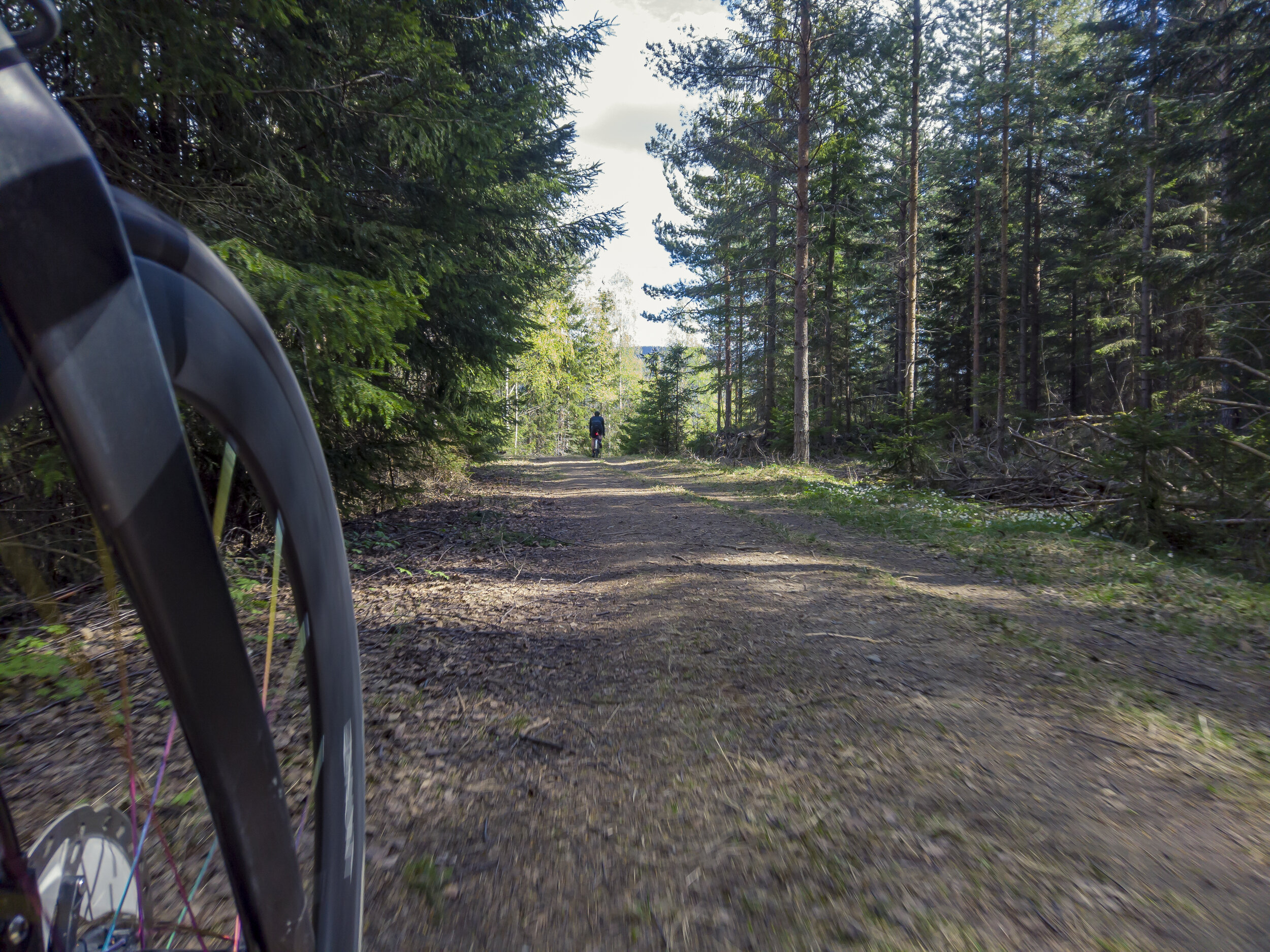 Hakavikrunden-2004260039-9 2.jpeg