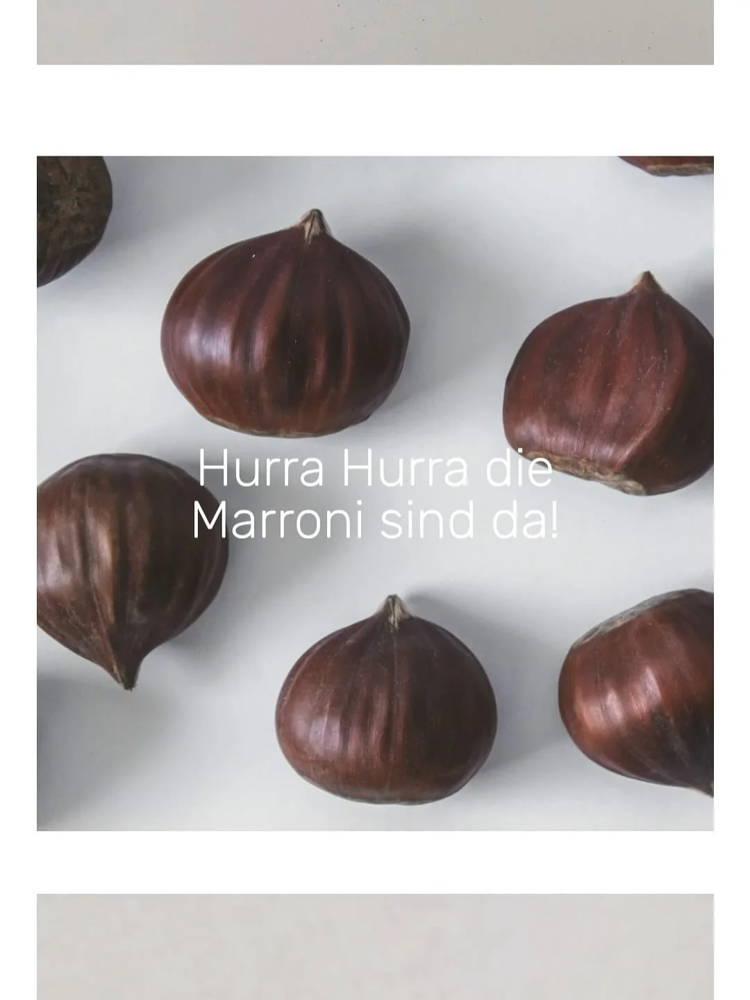 Neu im Sortiment: Maroni-Ravioli! 🌰
Frisch gemacht, frisch geliefert. Jetzt online bestellen &amp; genie&szlig;en. 🍝✨
.
.
.
.
.
#maroniravioli #maroni #herbst #ravioli #pastafresca #onlineshop #schweiz