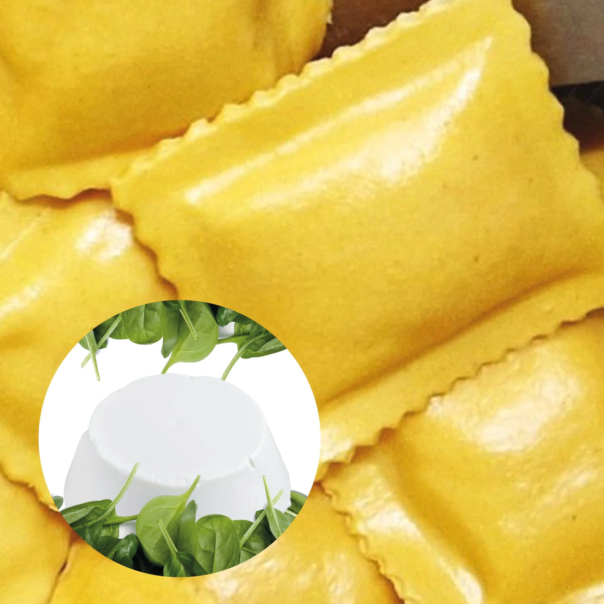 fotos HP Ravioli Quark.jpg