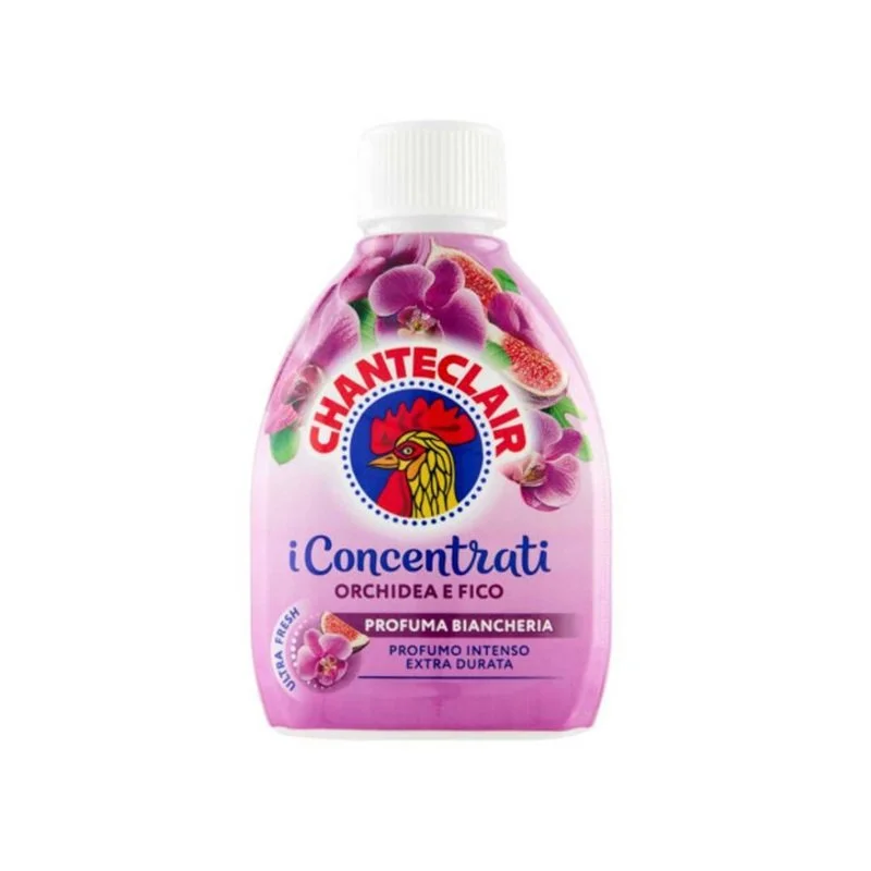 Chante Clair i concentrari orchidea.jpg