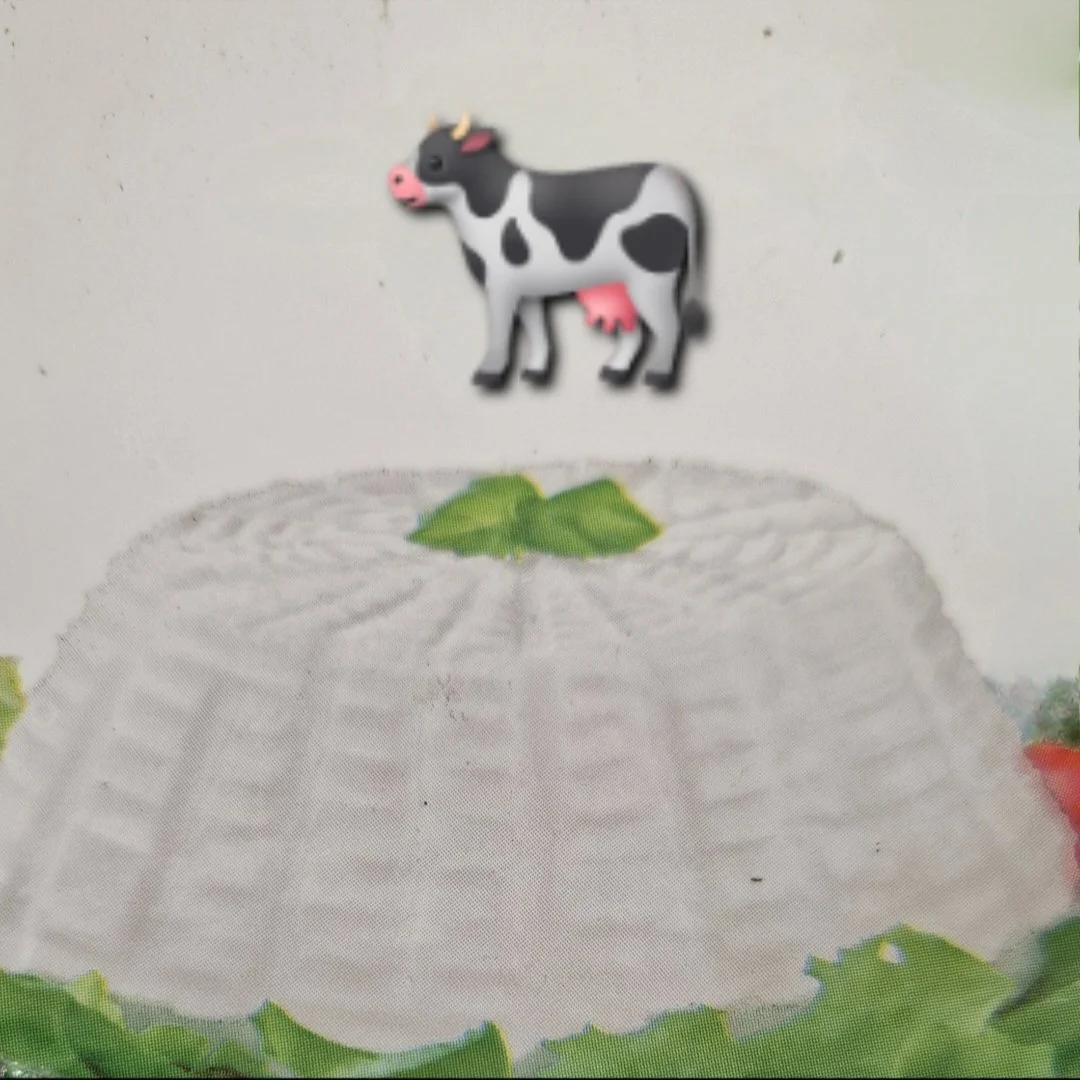 Ricotta di Mucca Fresca ca. 1.5 KG