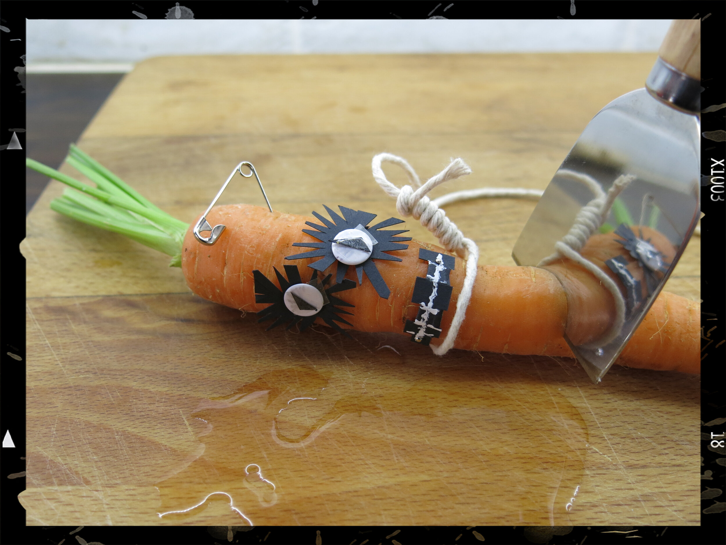 Carrot Carnage .jpg