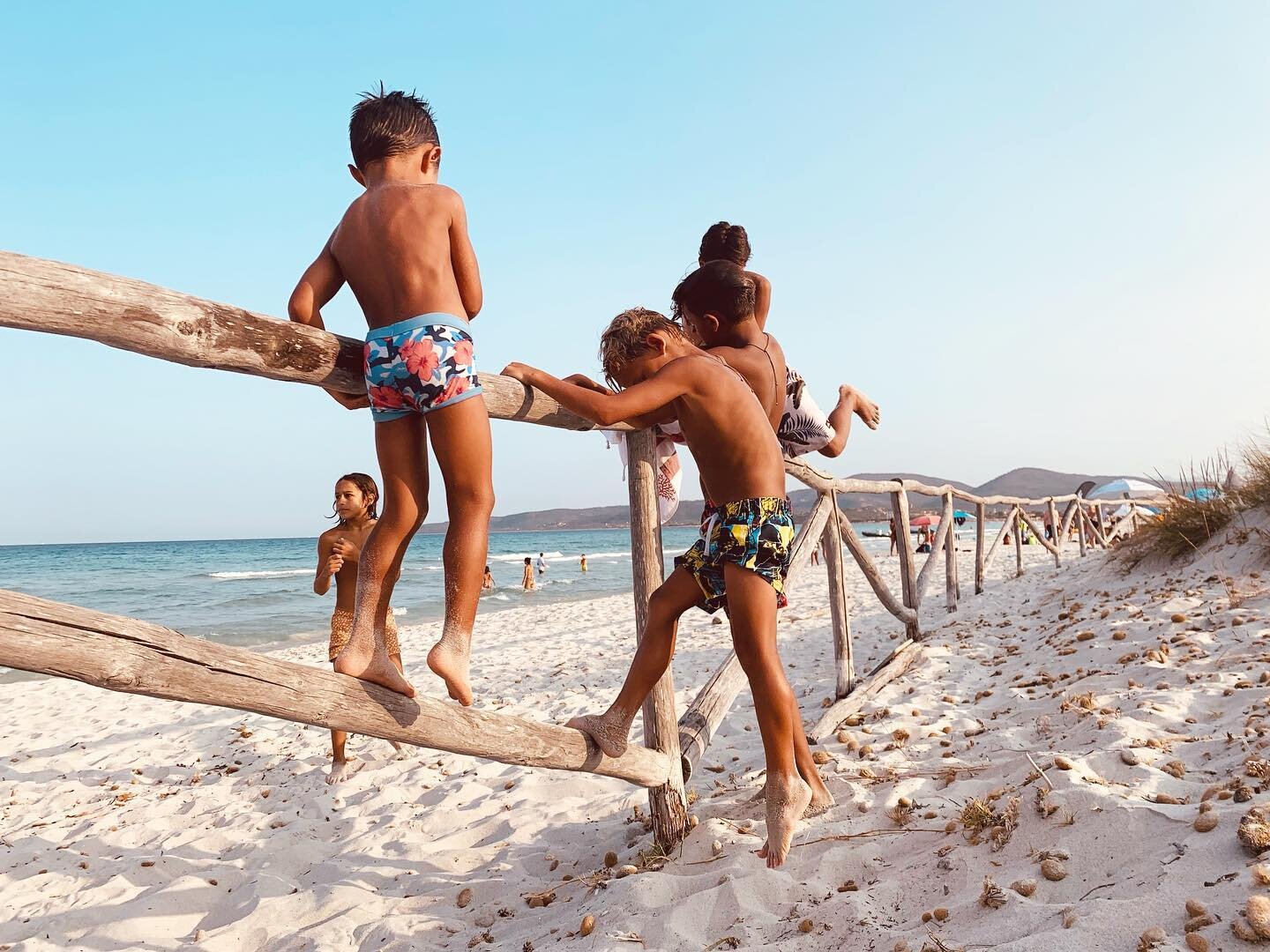 See how we have fun at @lacintabeach in @santeodorodream
#holiday #villamindaguesthouse #villaminda #villamindasardegna #fun #kids #seaside #crystalwater #whitesandbeach #kitesurfing