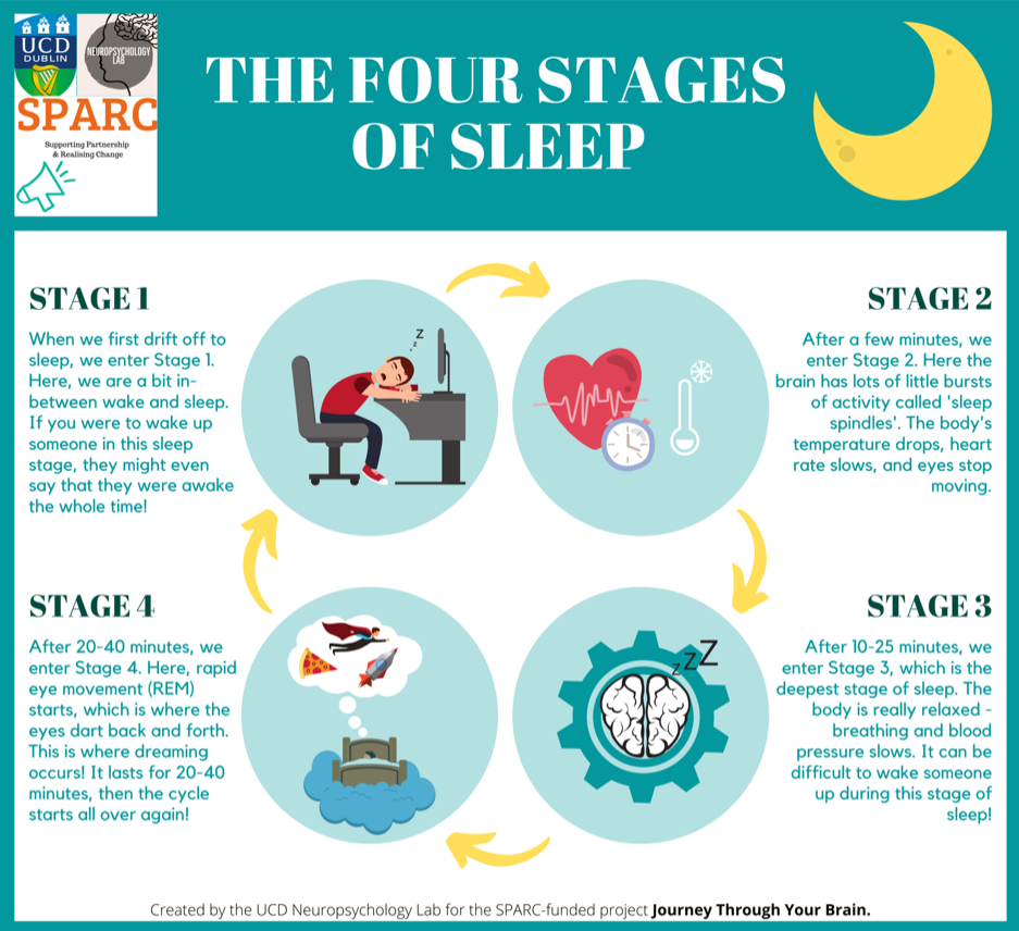 Unravelling the Science of Sleep — UCD Neuropsychology Lab