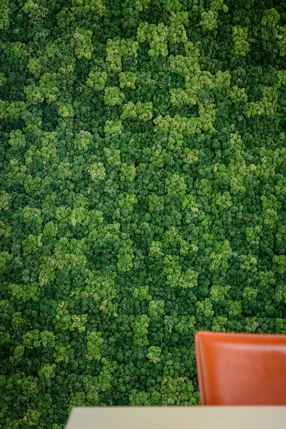 outdoor moss wall on Reindeer Moss Wall Pixel Nordgrona