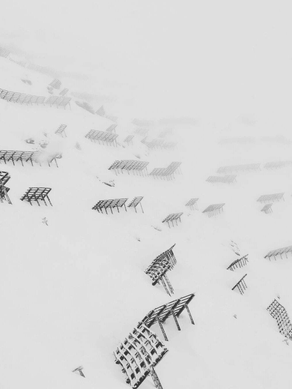 32504400384_d0c7ab8c6a_o.jpg