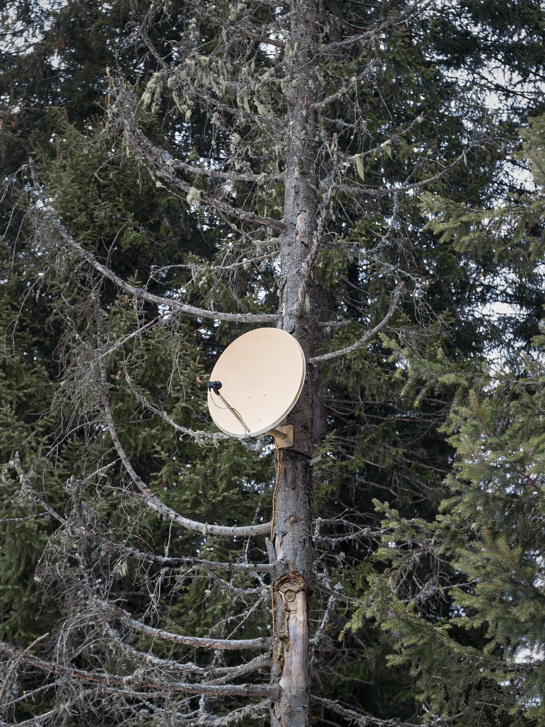 jankuenzel_photography_artefacts_0953.jpg