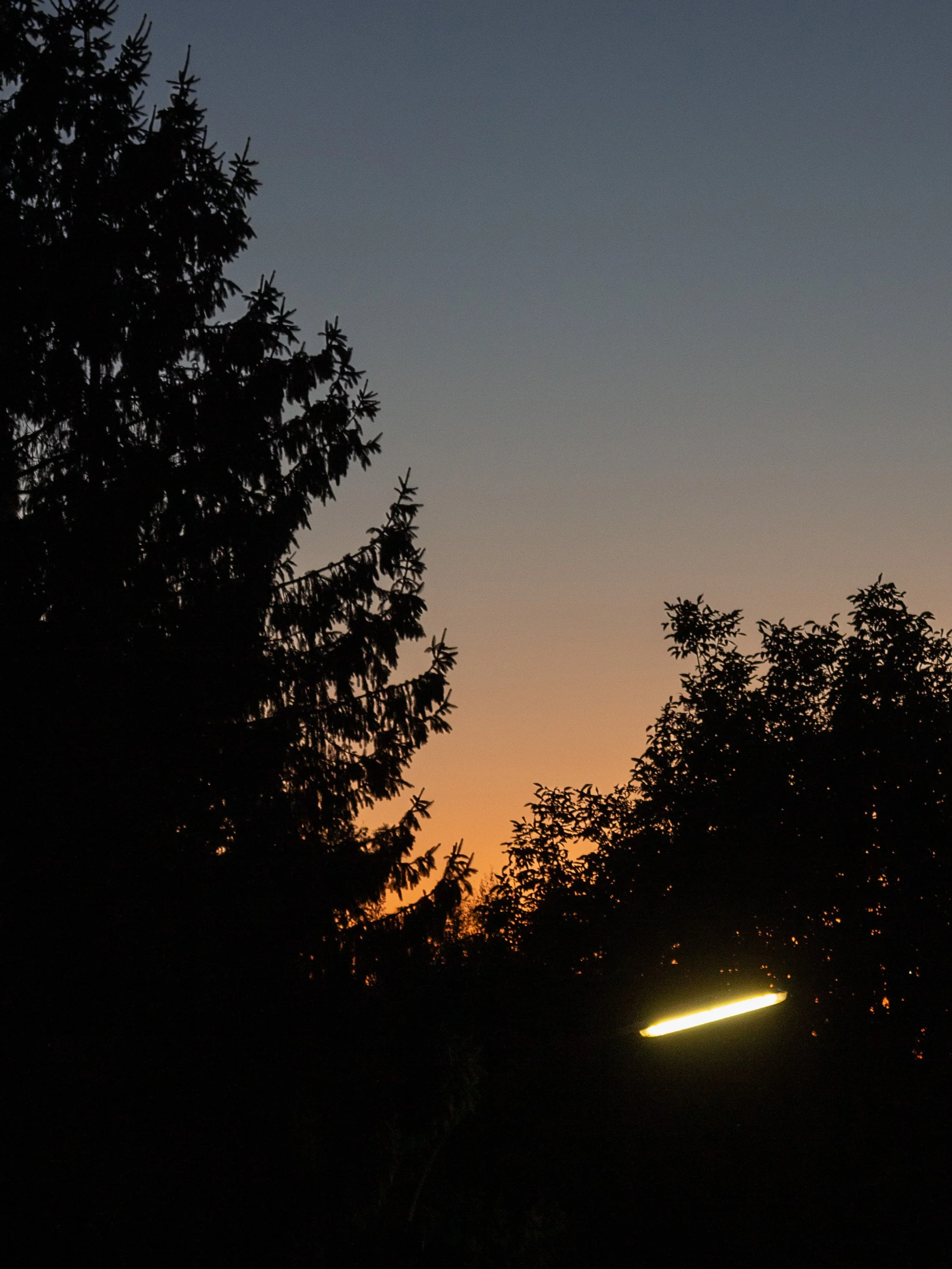 jankuenzel_photography_5131.jpg