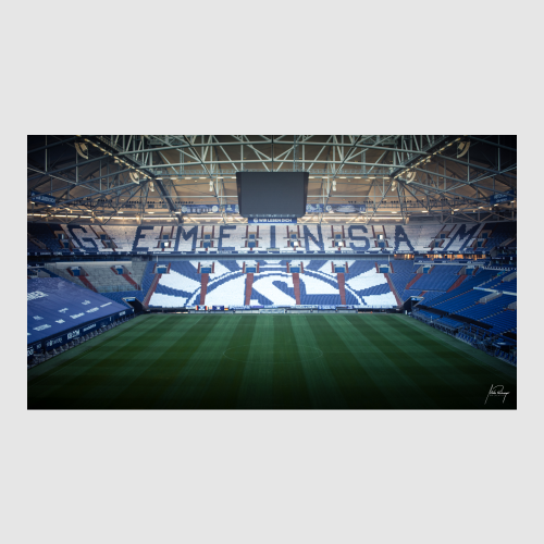 GEmeinsam für Schalke