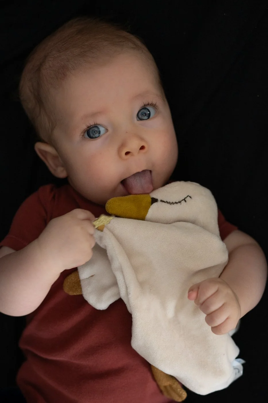 VEG-12-2025-BY LEON (16).jpg