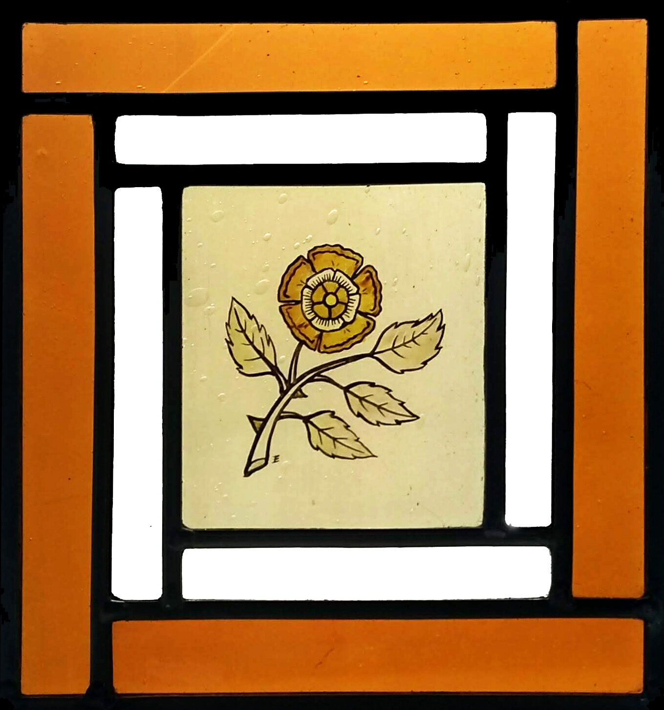 Dog Rose