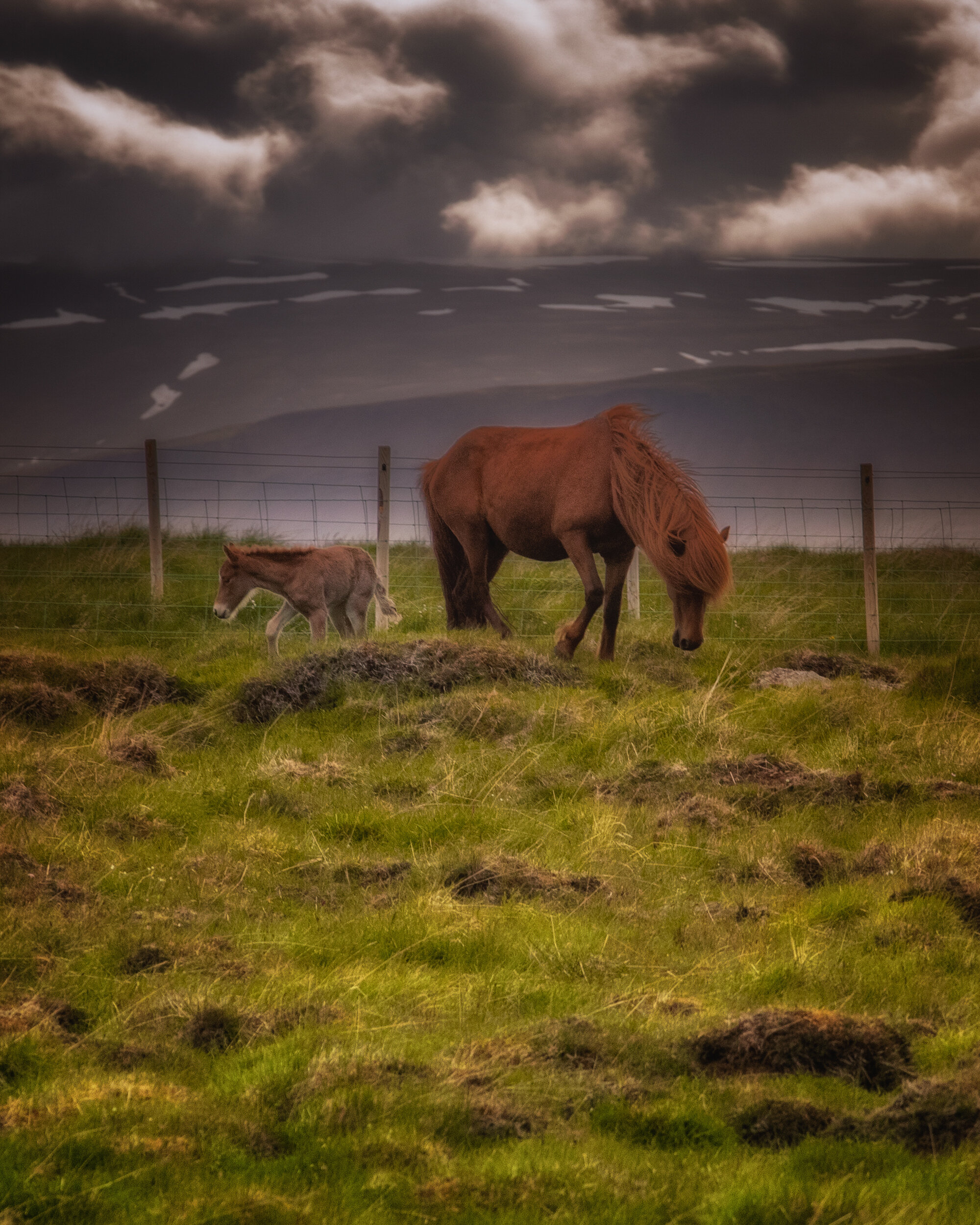 ASPX8263-Edit-2.jpg