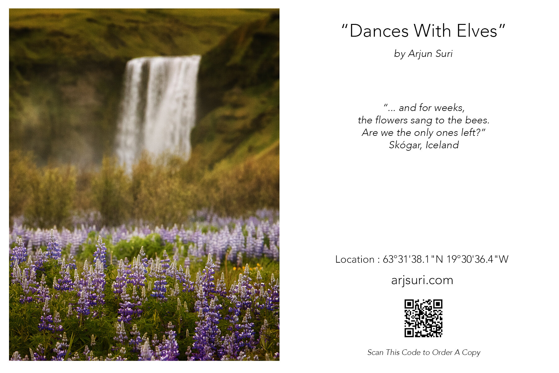 Dances With Elves_Info-Card-6x4.jpg