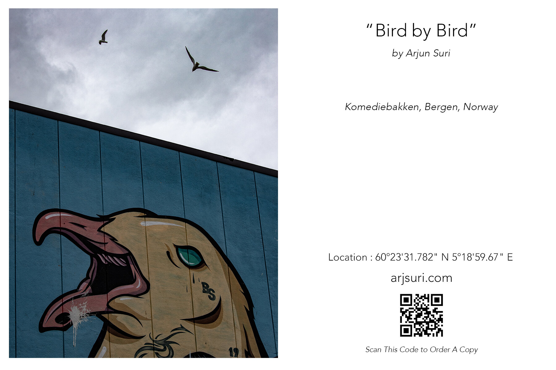 Bird by Bird_Card.jpg