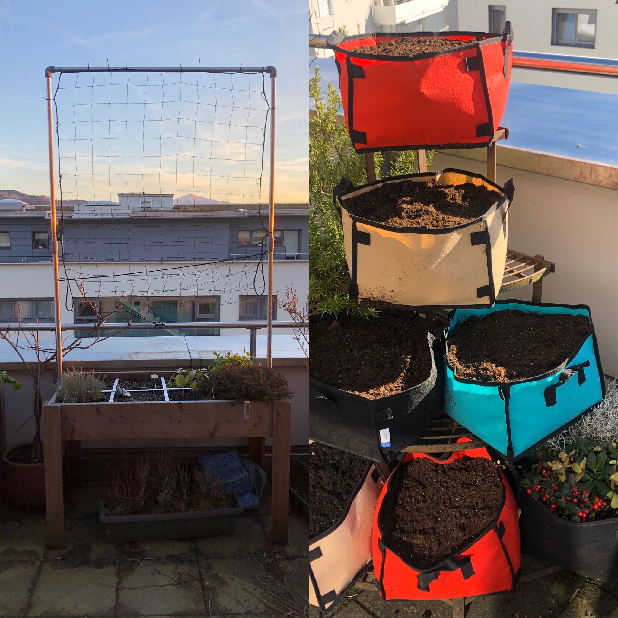 Easy Urban Gardening; Why, Where &amp; How