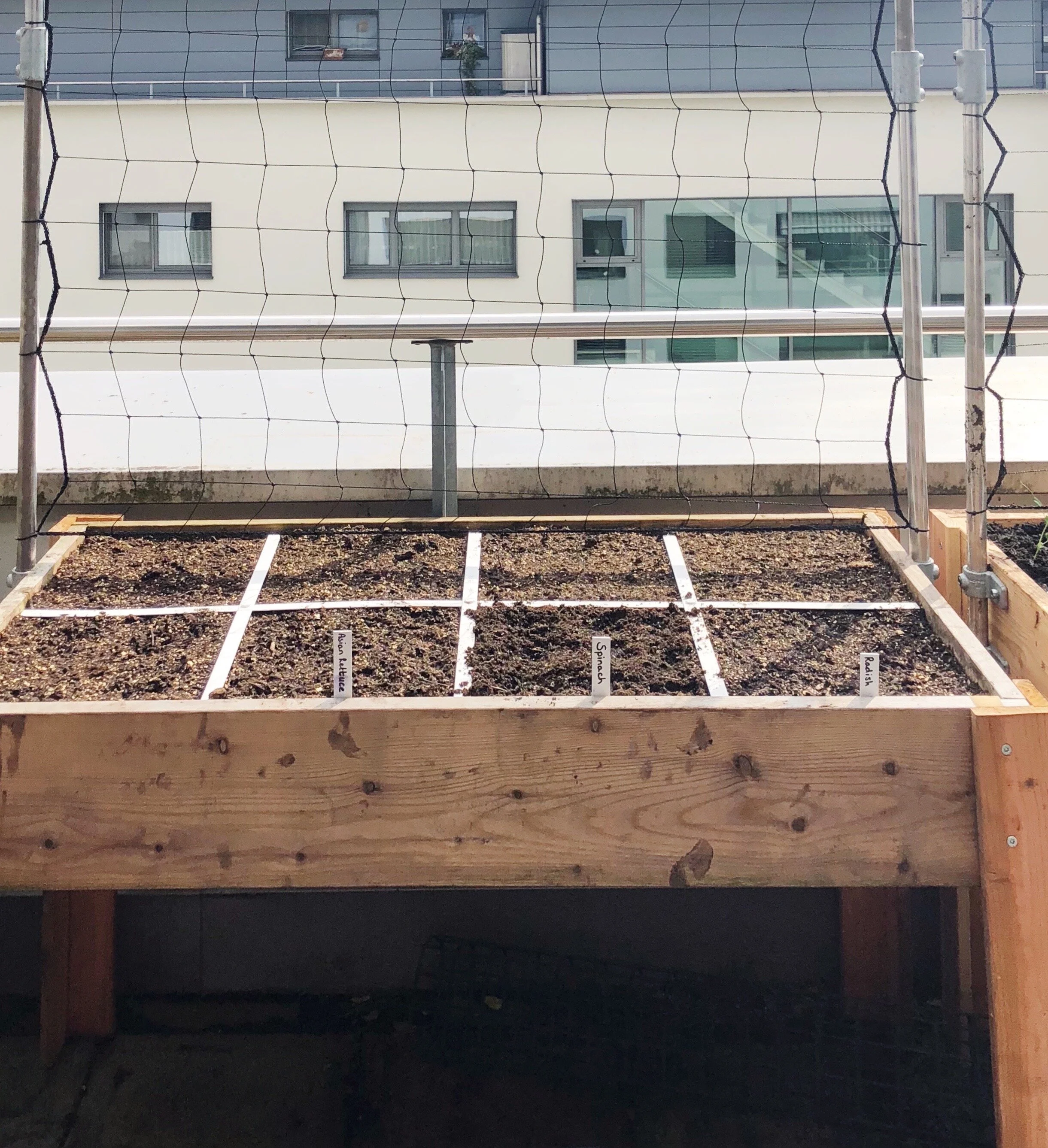 Plan Your Garden; why, how, what, where