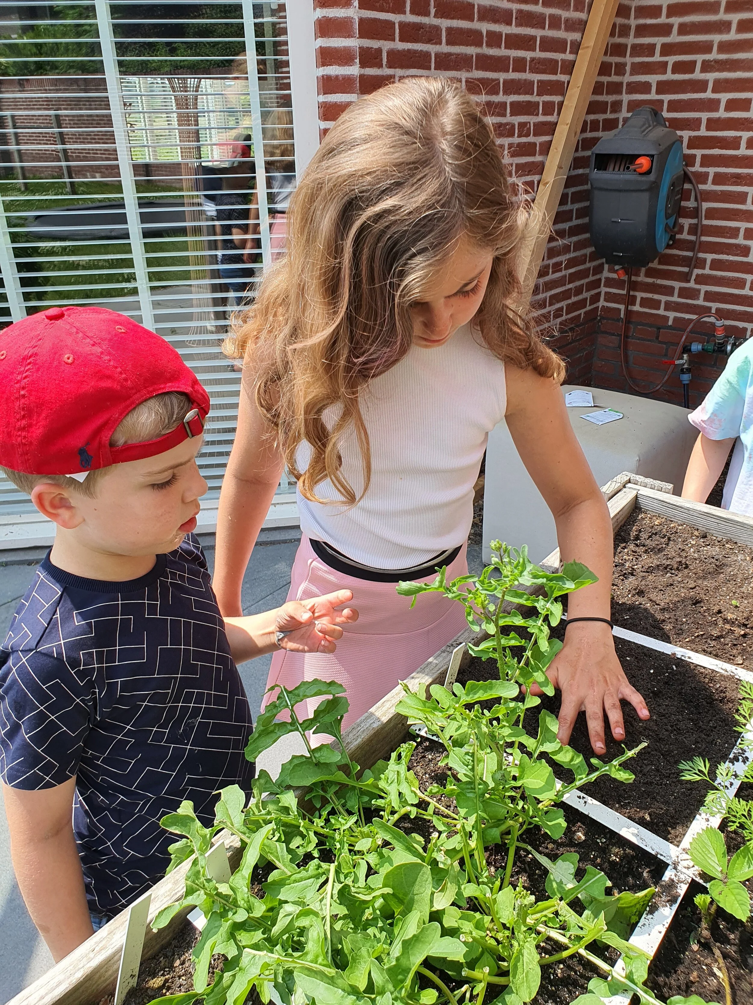 3 benefits of gardening with your children