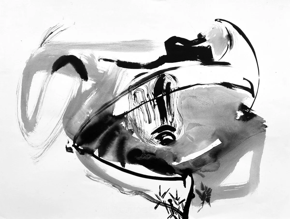 Mynydd Y Gaer Bowl, 2026, ink on paper 56 x 77 cm ©LisaCarter Grist  