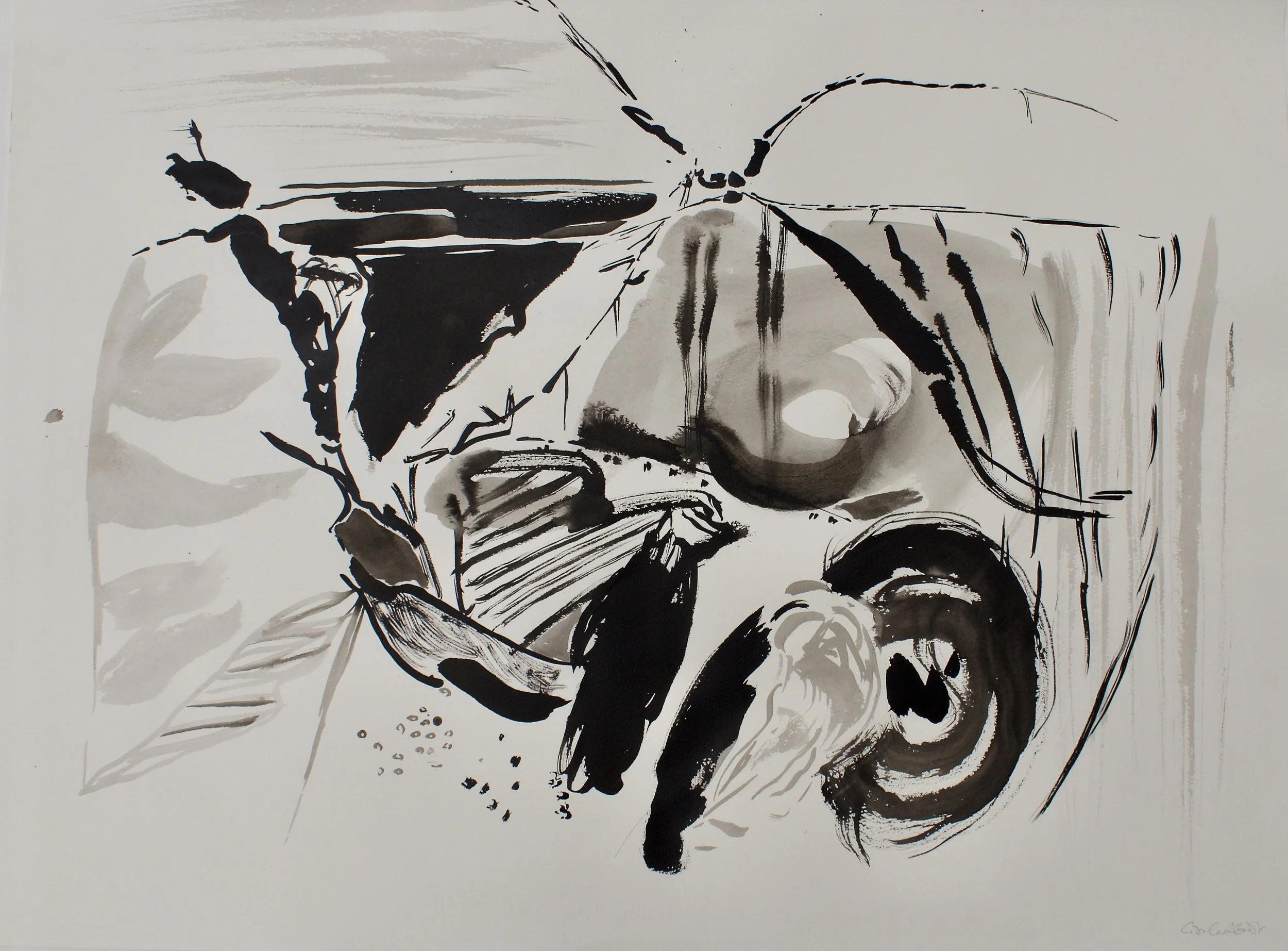 'Mynydd Y Gaer,  November 2,' ink on paper, 78 x 58 cm, 2025, framed, £1,500, available at Oriel Ffin Y Parc.