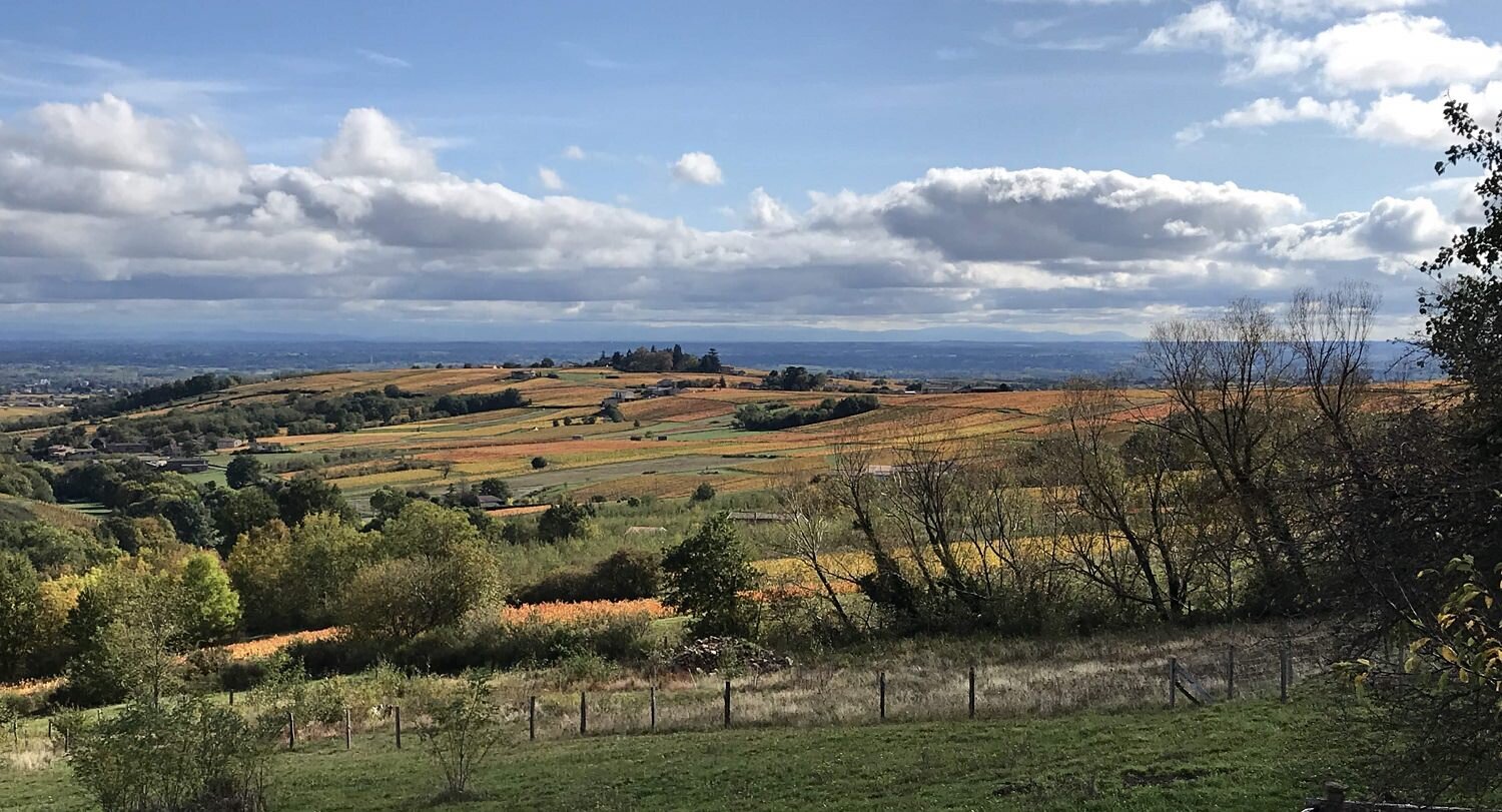 1500-view vineyards.jpg