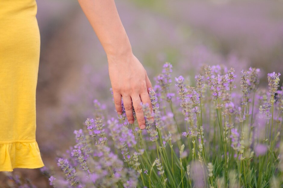 Highly Sensitive Person (HSP)- introvert v’s Extrovert