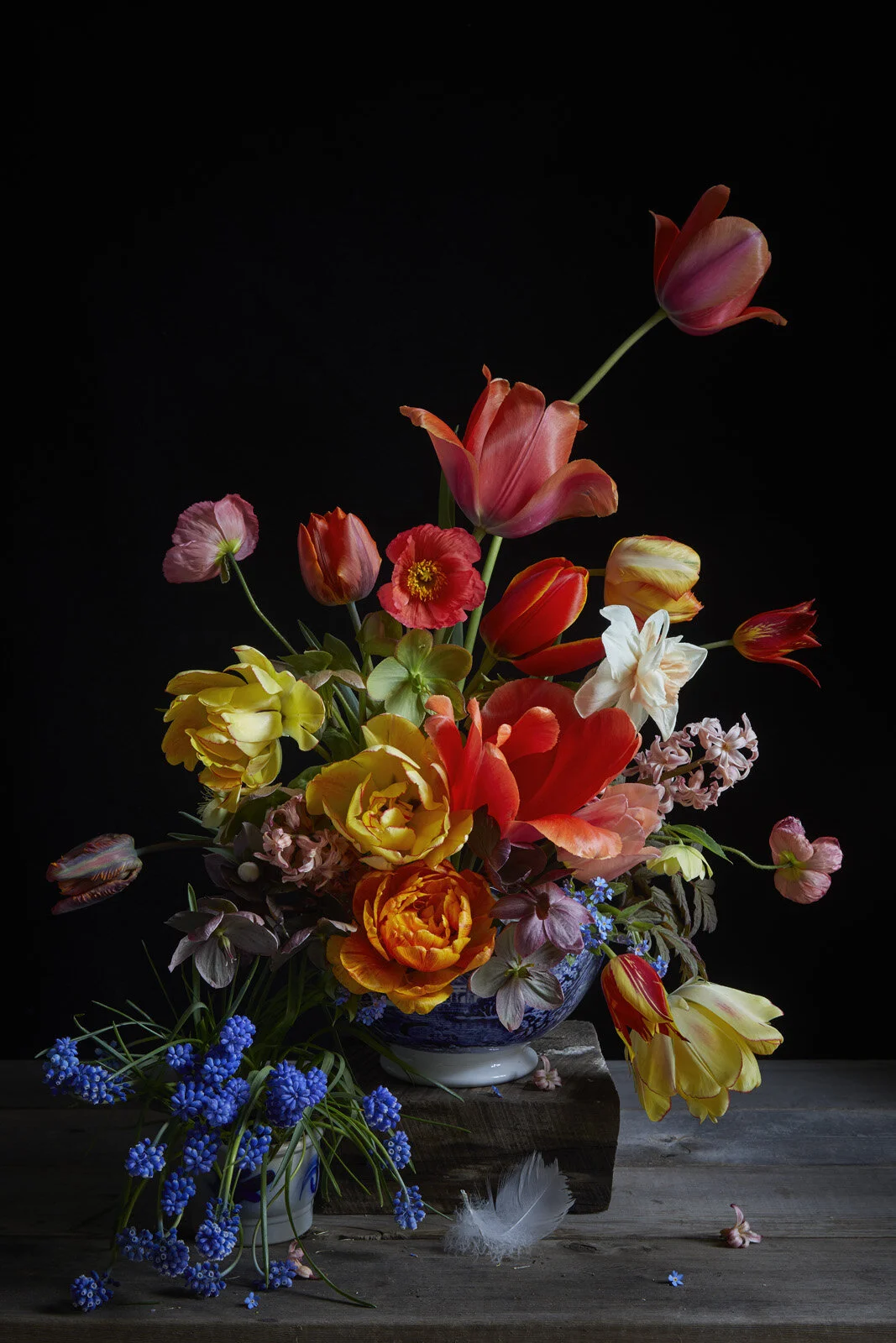 Tulips And Swan Feather.jpg