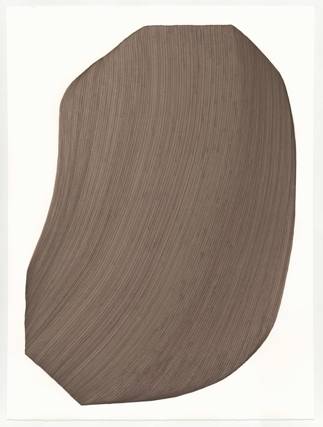 Screen Shot 2025-10-24 at 11.45.45 AM.png