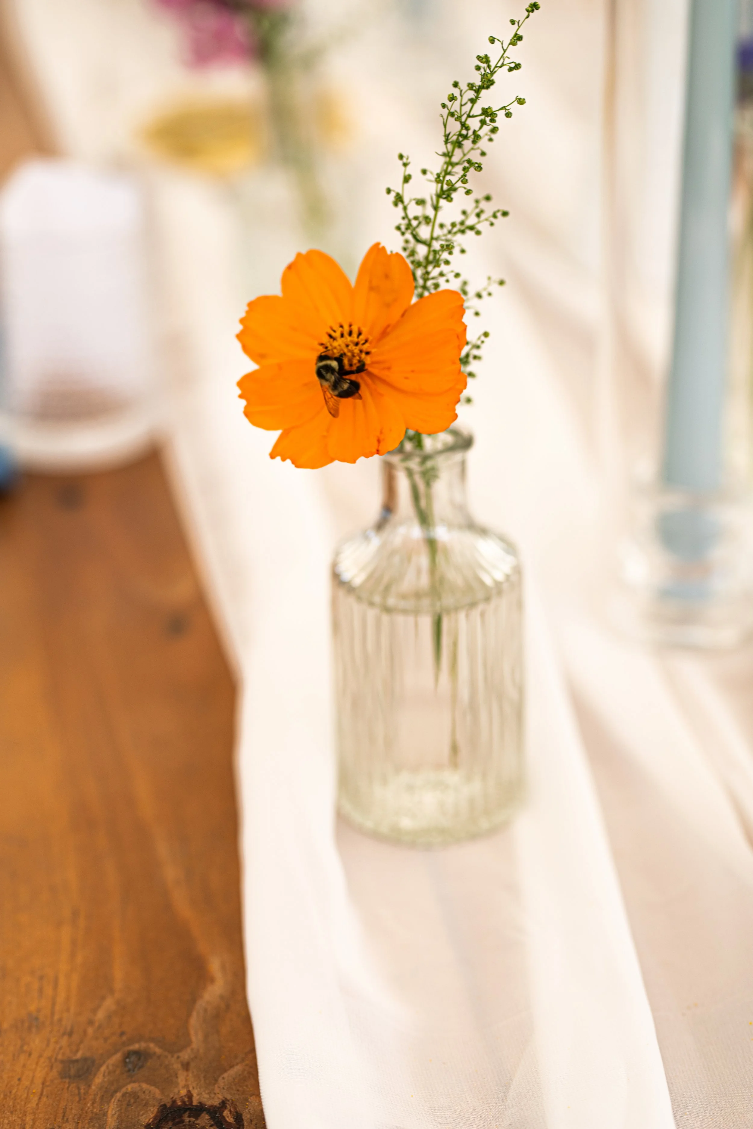 Lexi & Alex's Wedding-540.jpg