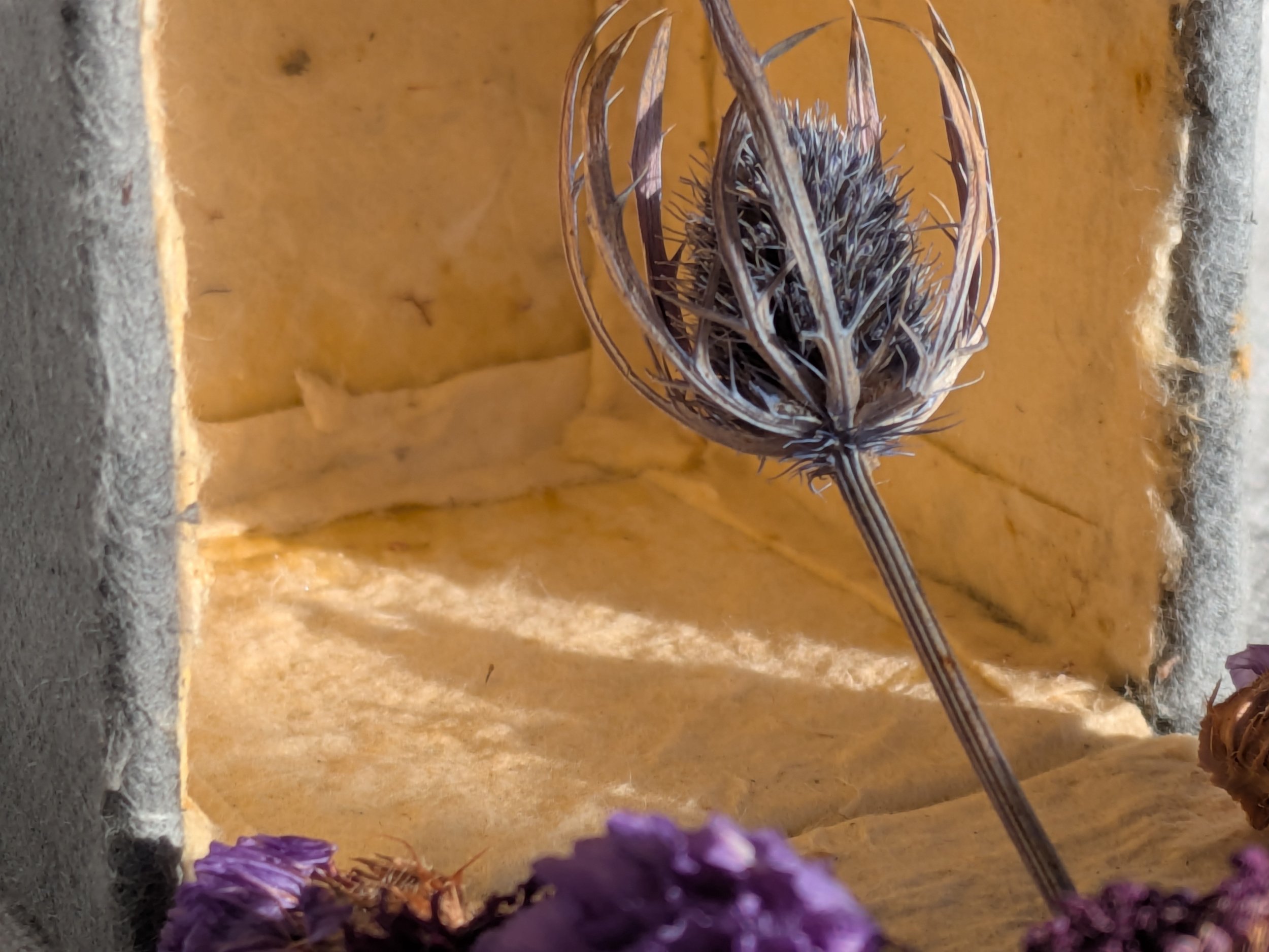 Arlo's Prayer Box Detail 2026