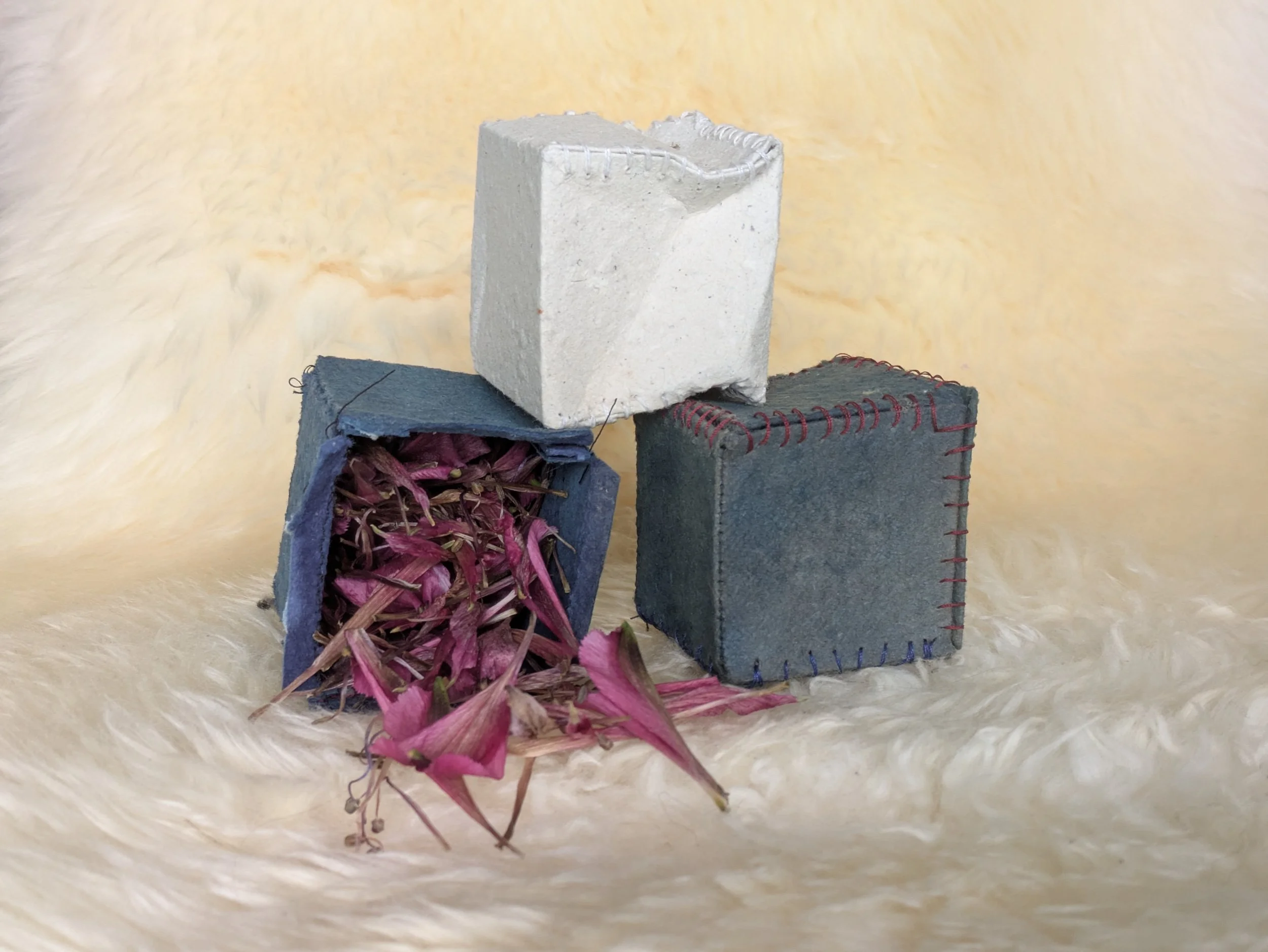 Memory Reconciliation Boxes 2026