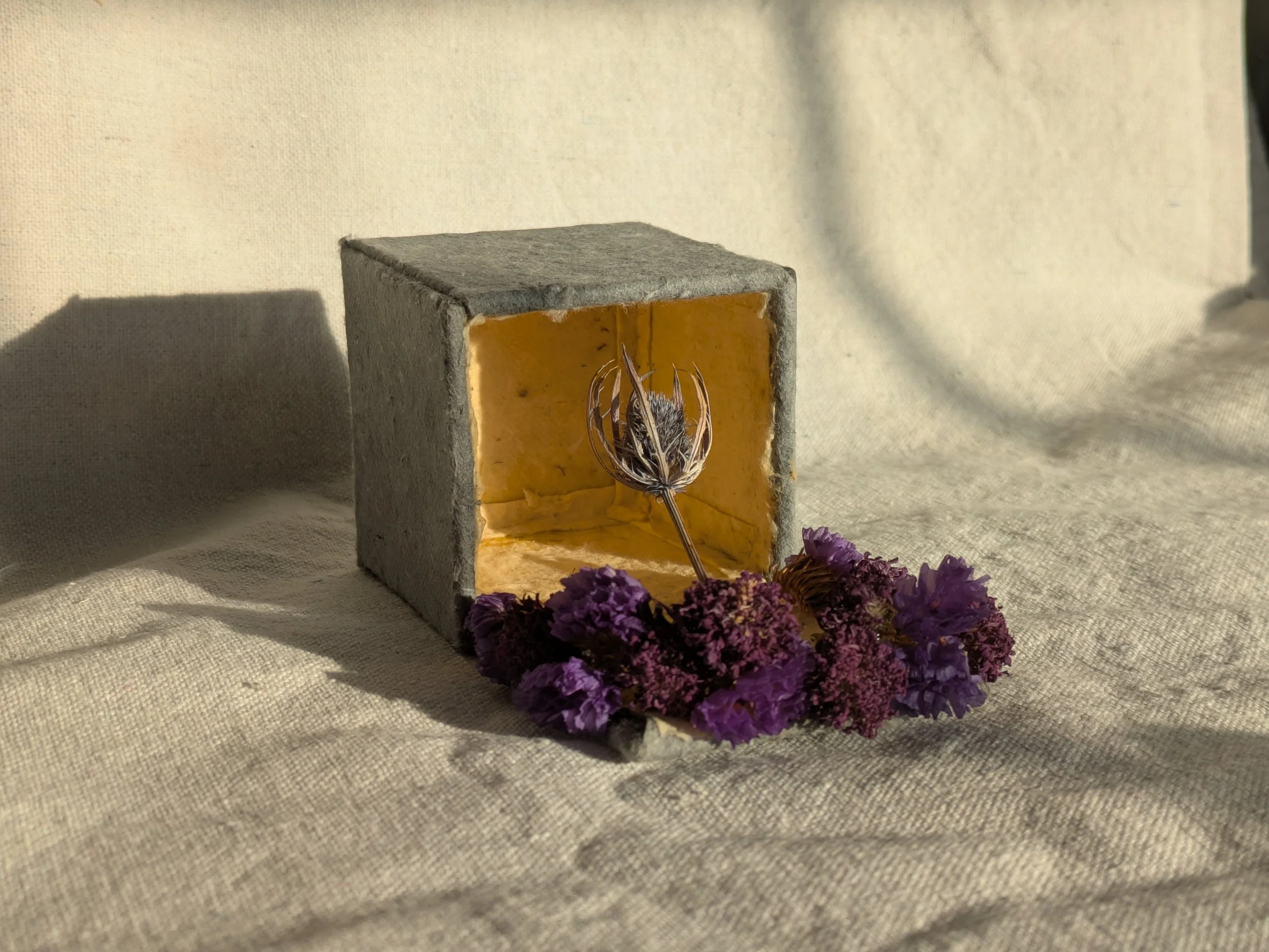 Arlo's Prayer Box 2026