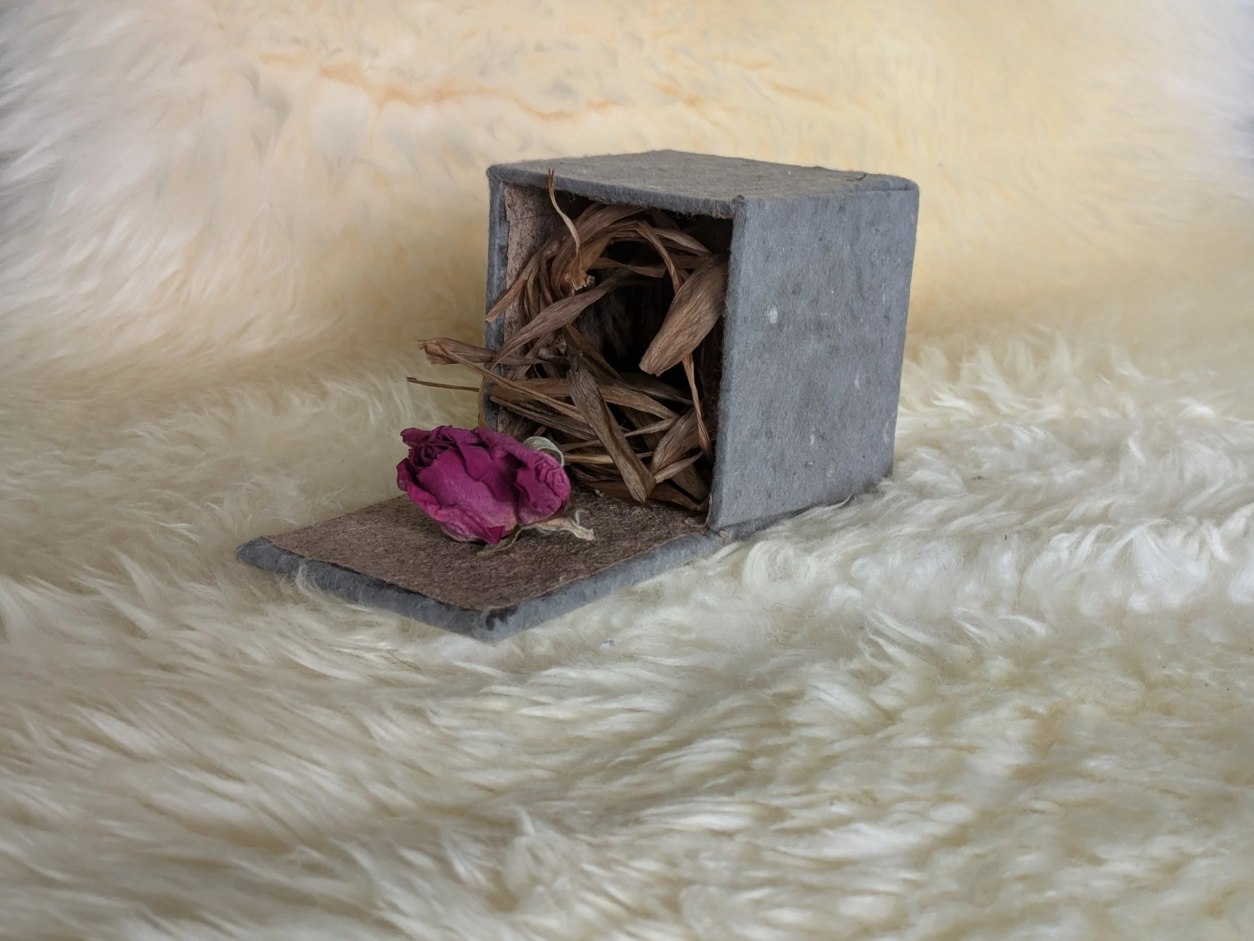 Prayer Box For Brave and Anxious 2026