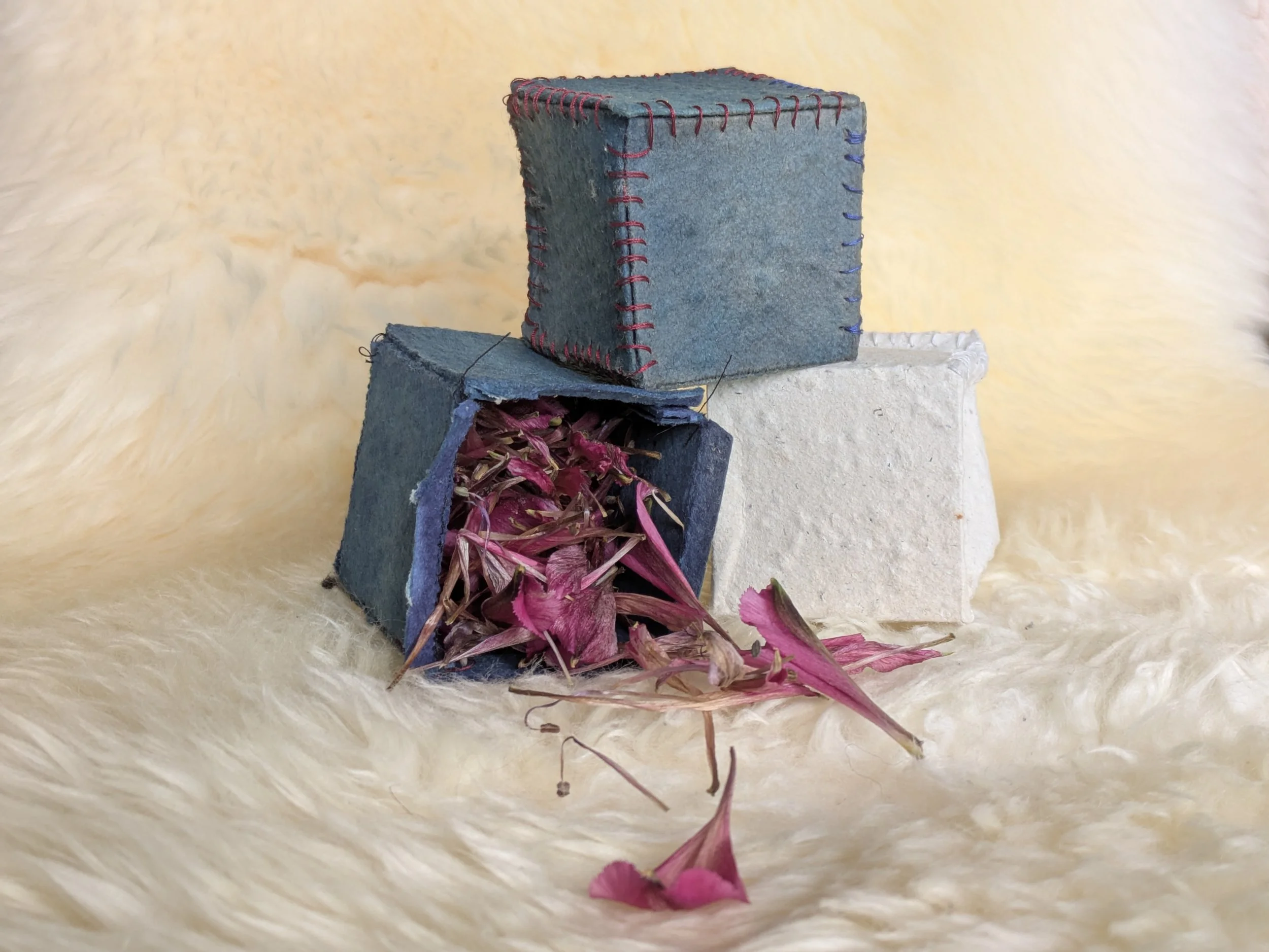 Memory Reconciliation Boxes 2026