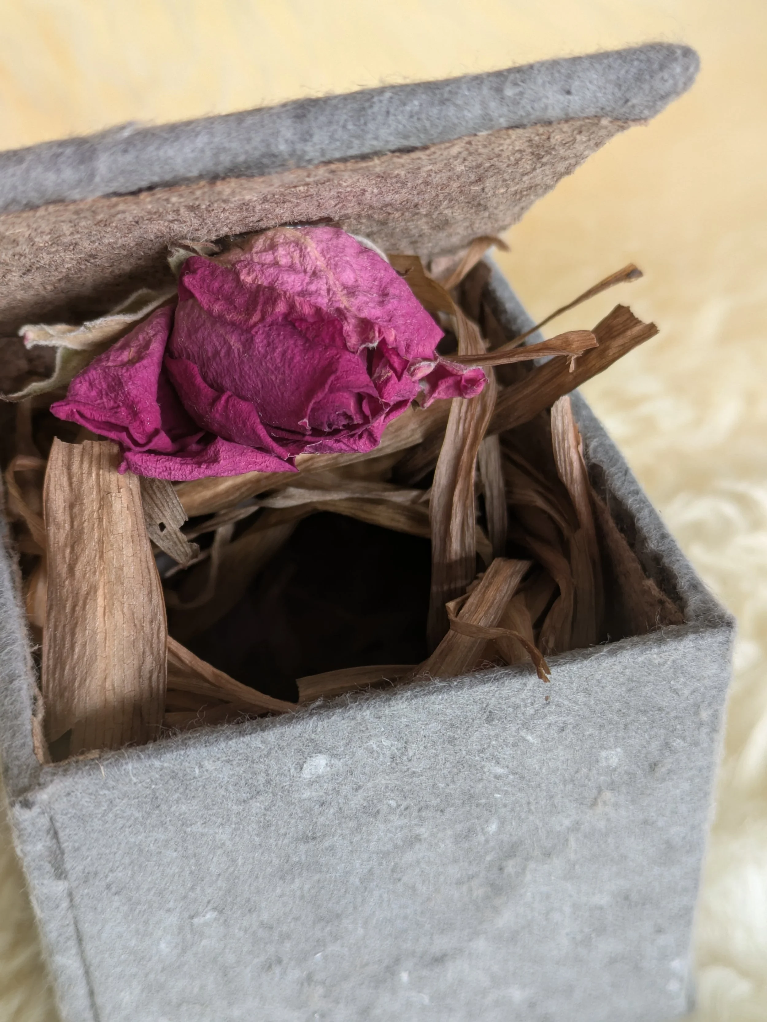 Prayer Box For The Brave and Anxious Detail 2026