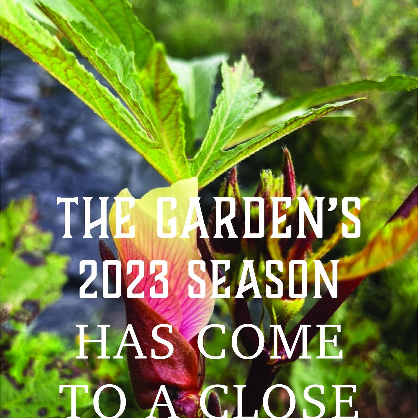 Hello wonderful people!
UPDATE
The Garden has completed it's season for 2023. We do not have any further gigs open to the public until the spring of 2024. That being said, our books are open for 2024! We are booking private events, weddings, craft fa