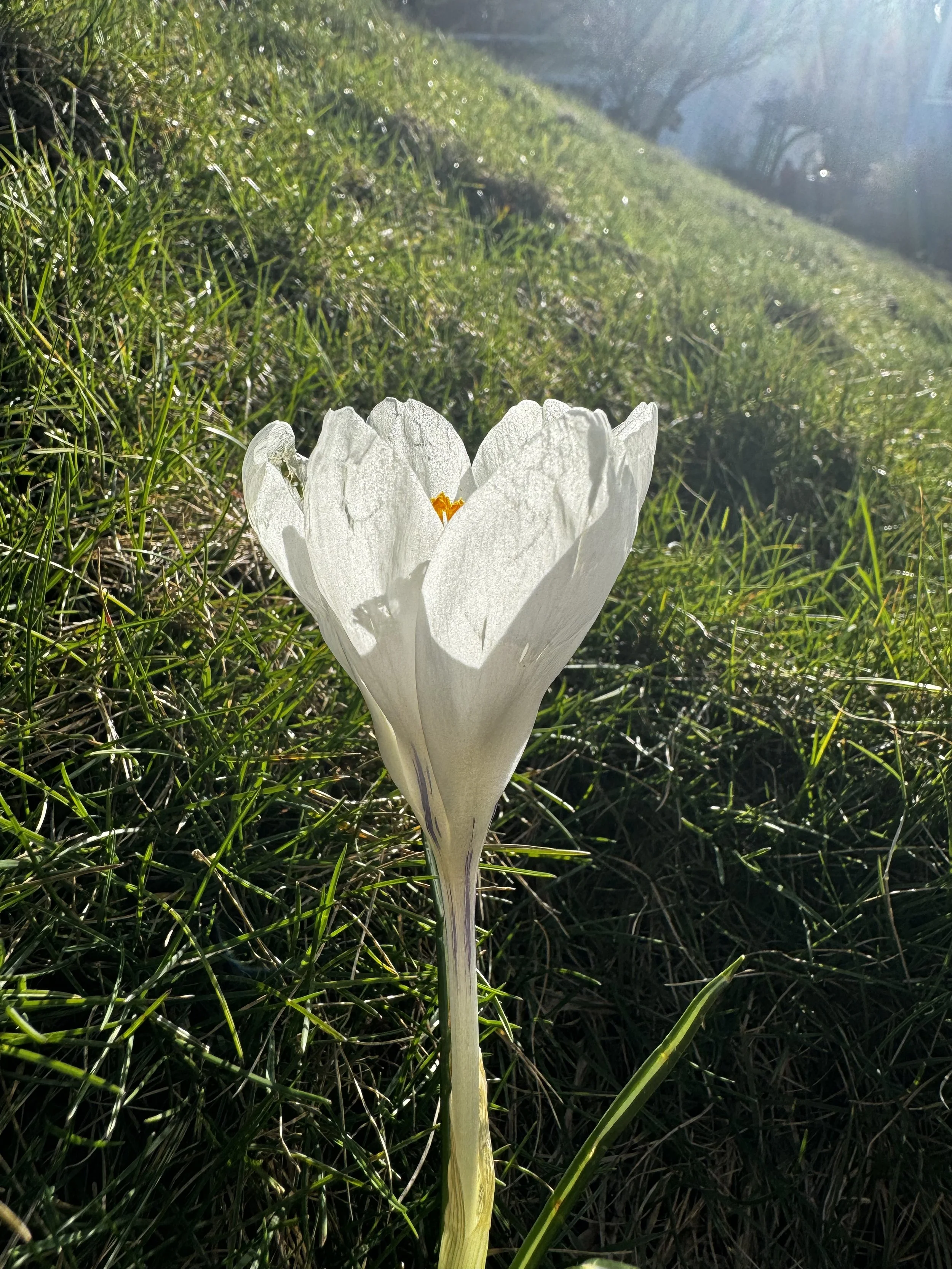 Ticket for Breaking Ground | Tuesday April 14