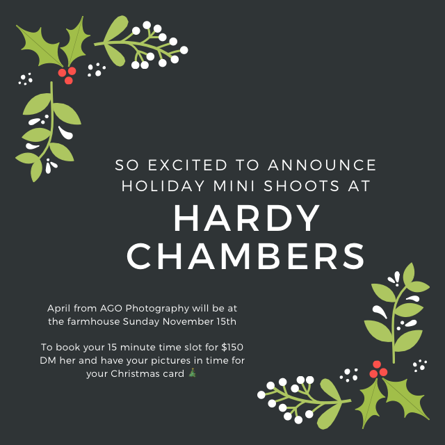Christmas Mini Shoots by AGO
